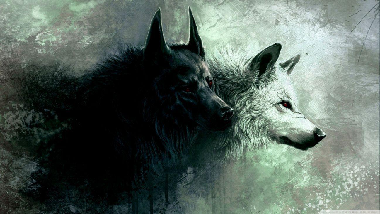 1297x729 Cool Wolves Background Wallpaper