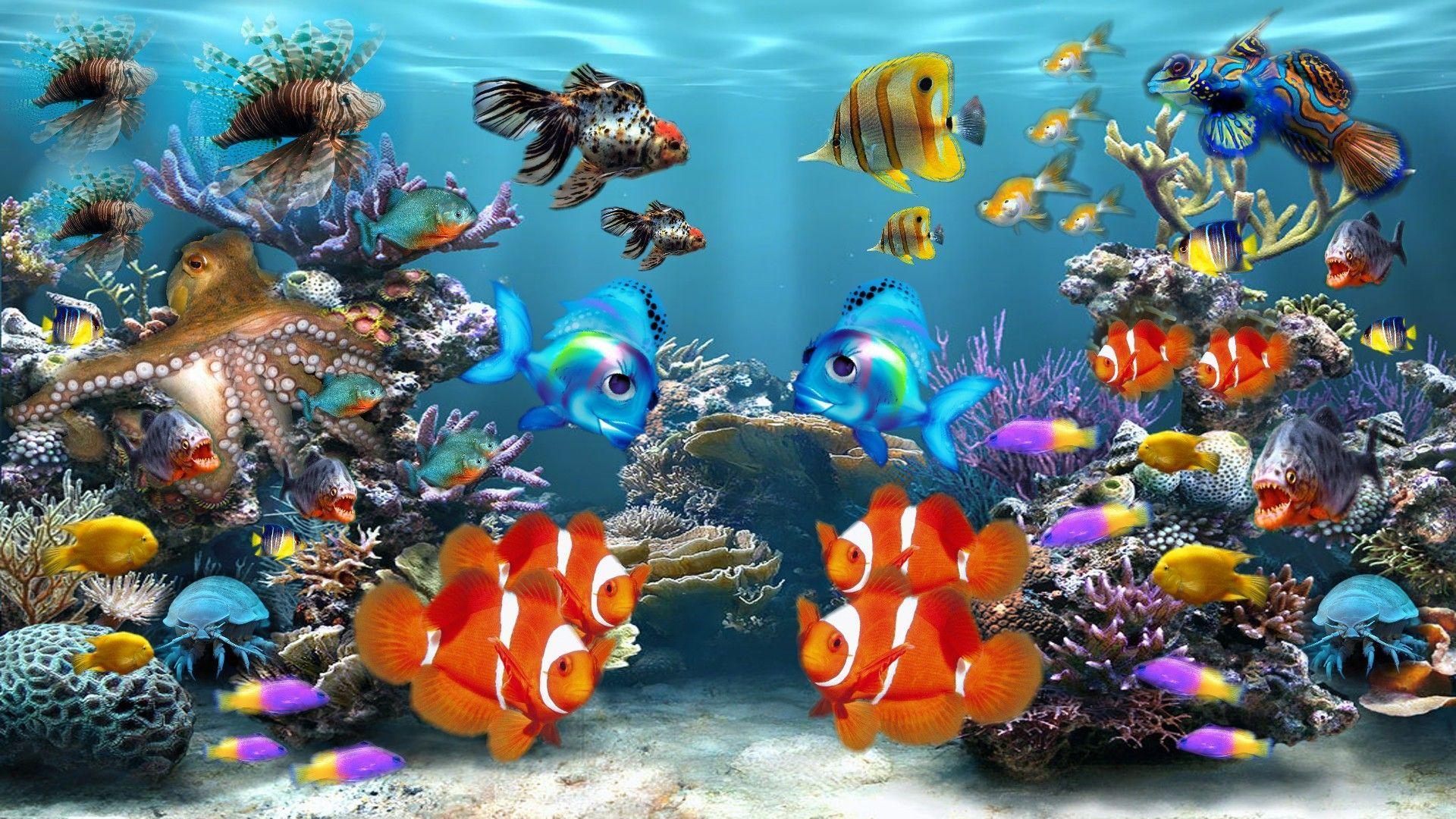 cool fish tank backgrounds