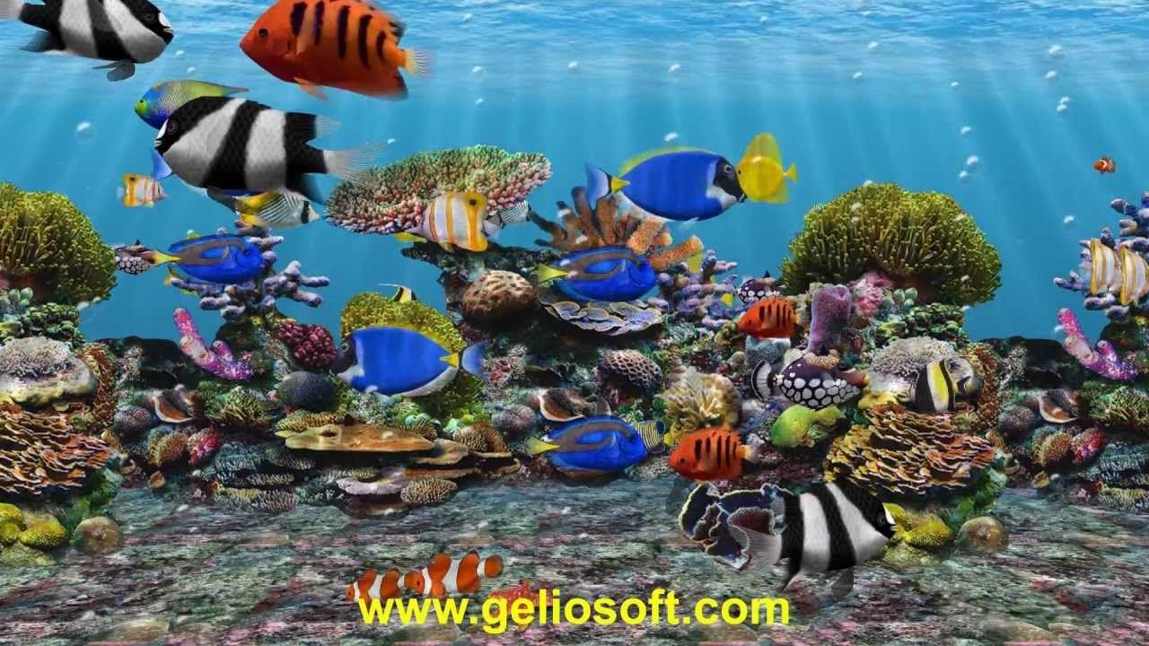 dowload best fish tank screensaver