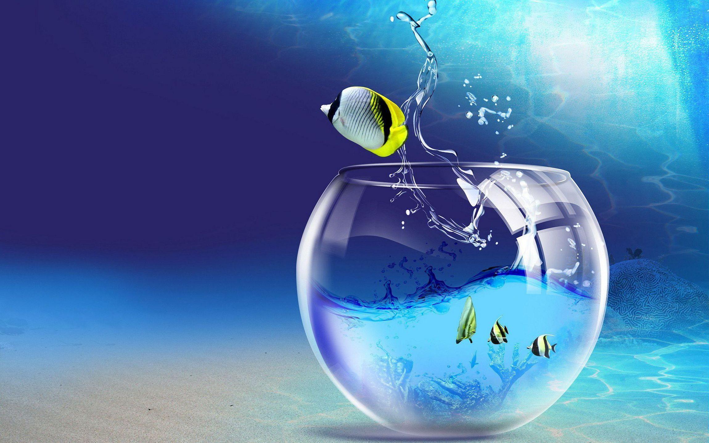 2300x1438 Aquarium Wallpaper Background