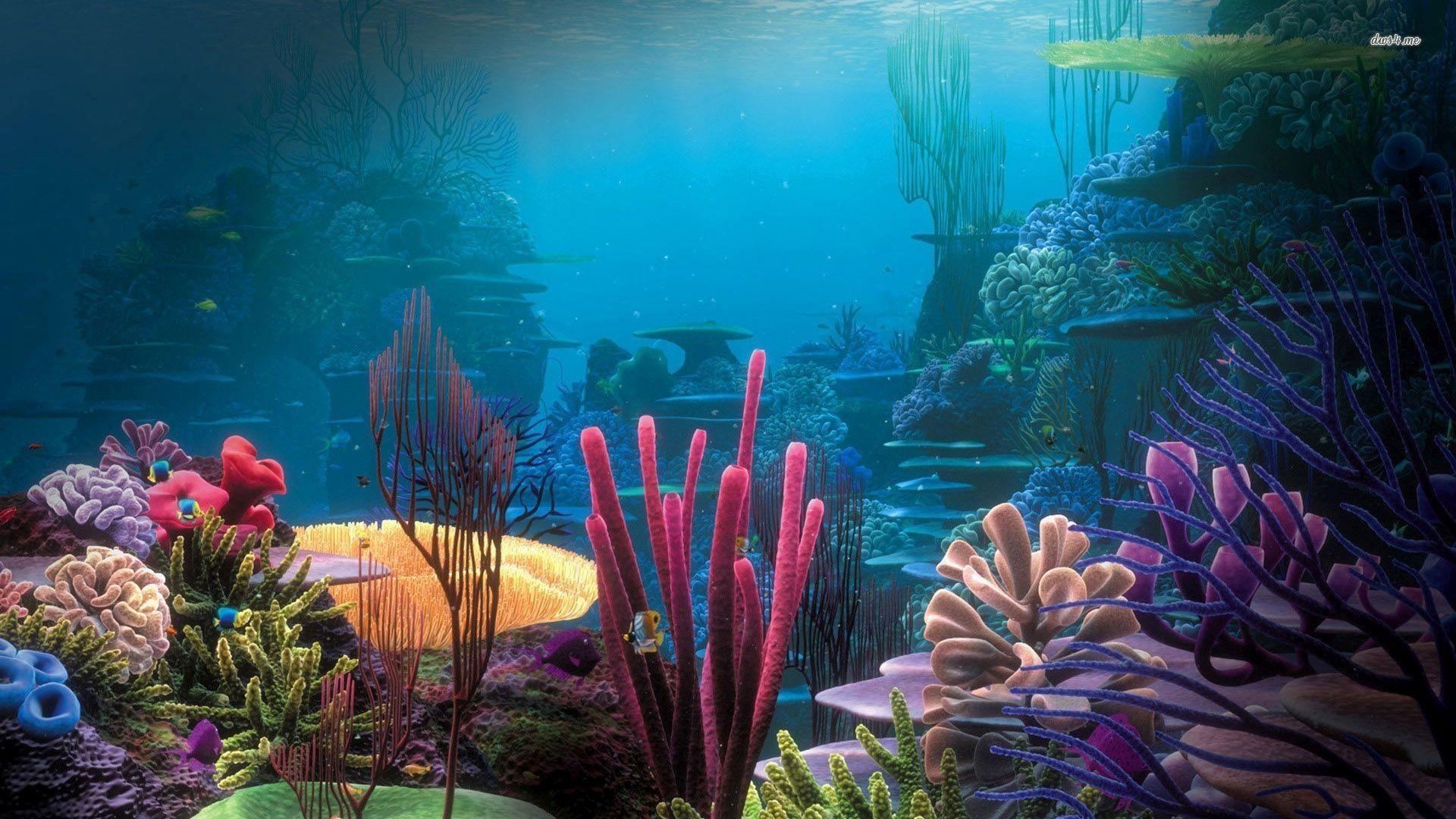 1920x1080 Aquarium HD 1080p Wallpaper