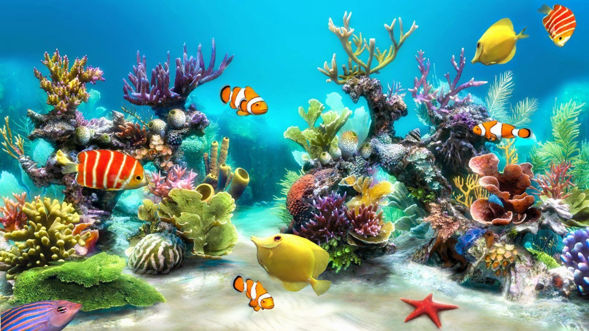 1920x1080 Animated Aquarium Desktop Wallpaper