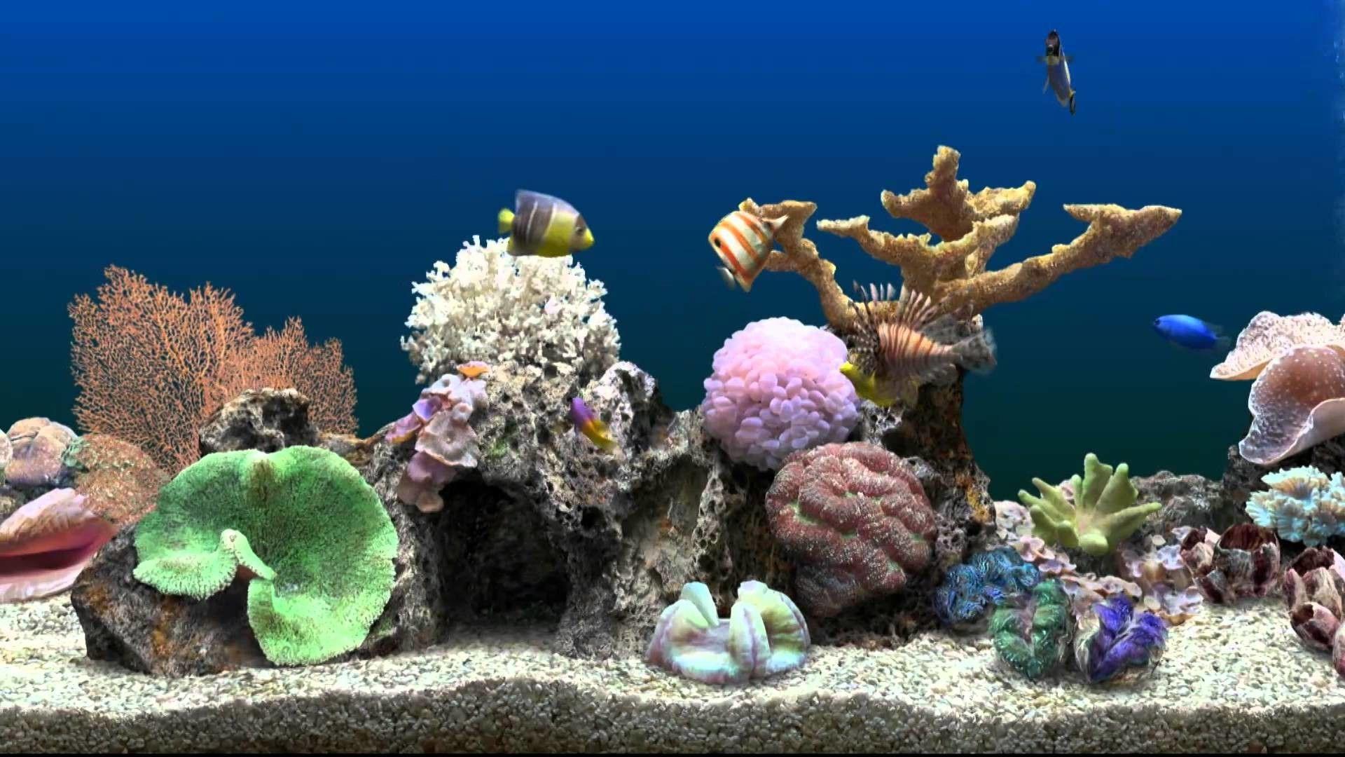 1920x1080 Moving Aquarium Wallpaper