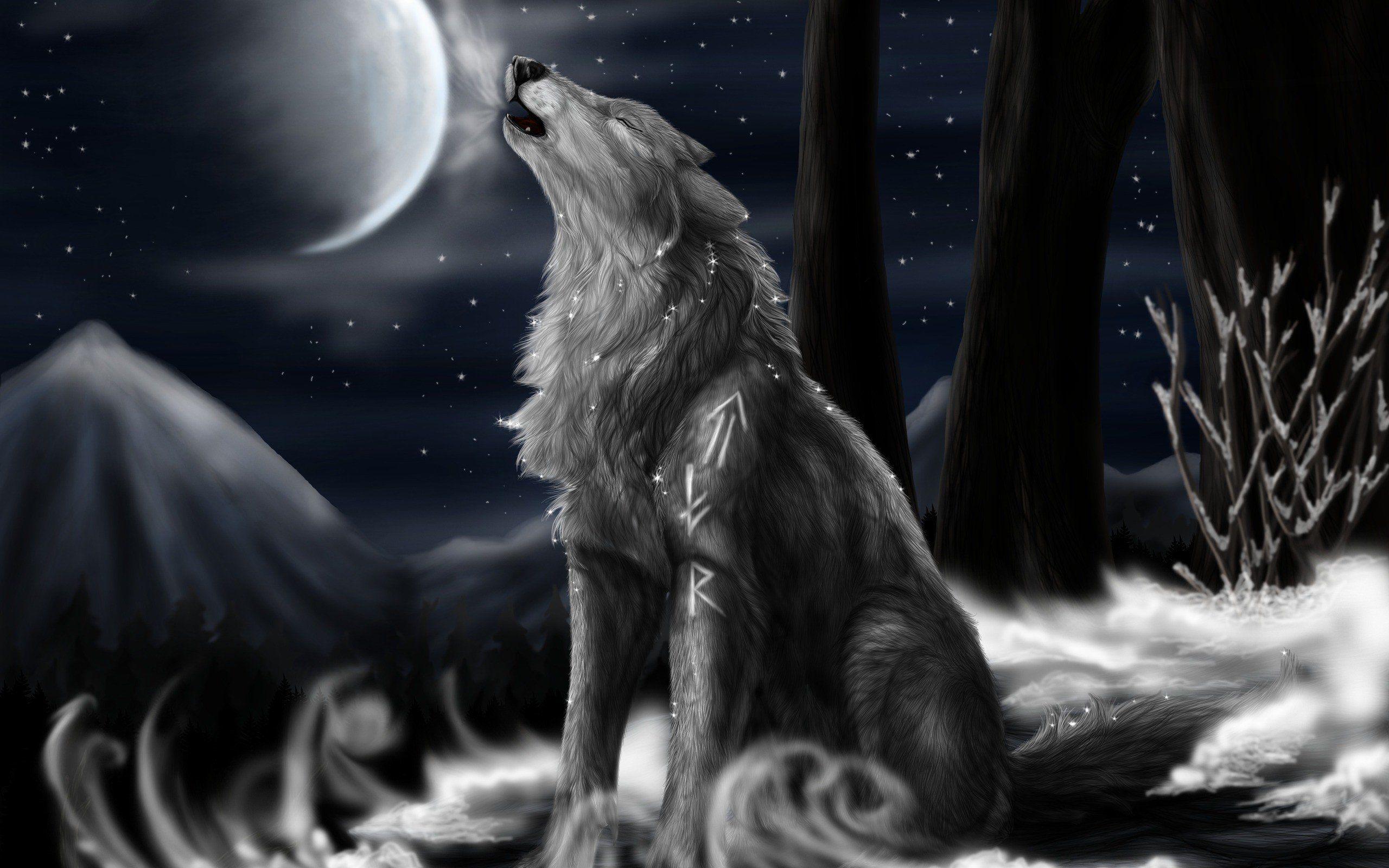 2560x1600 Desktop Black Wolf Image In The Wild Download