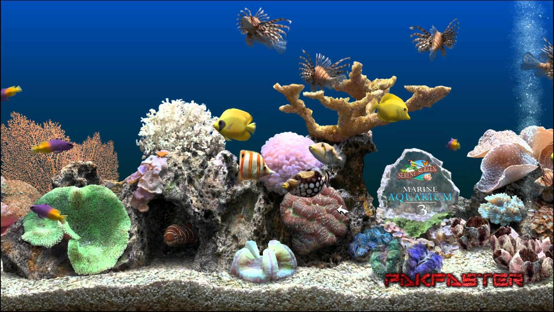 1920x1080 Moving Aquarium Wallpaper