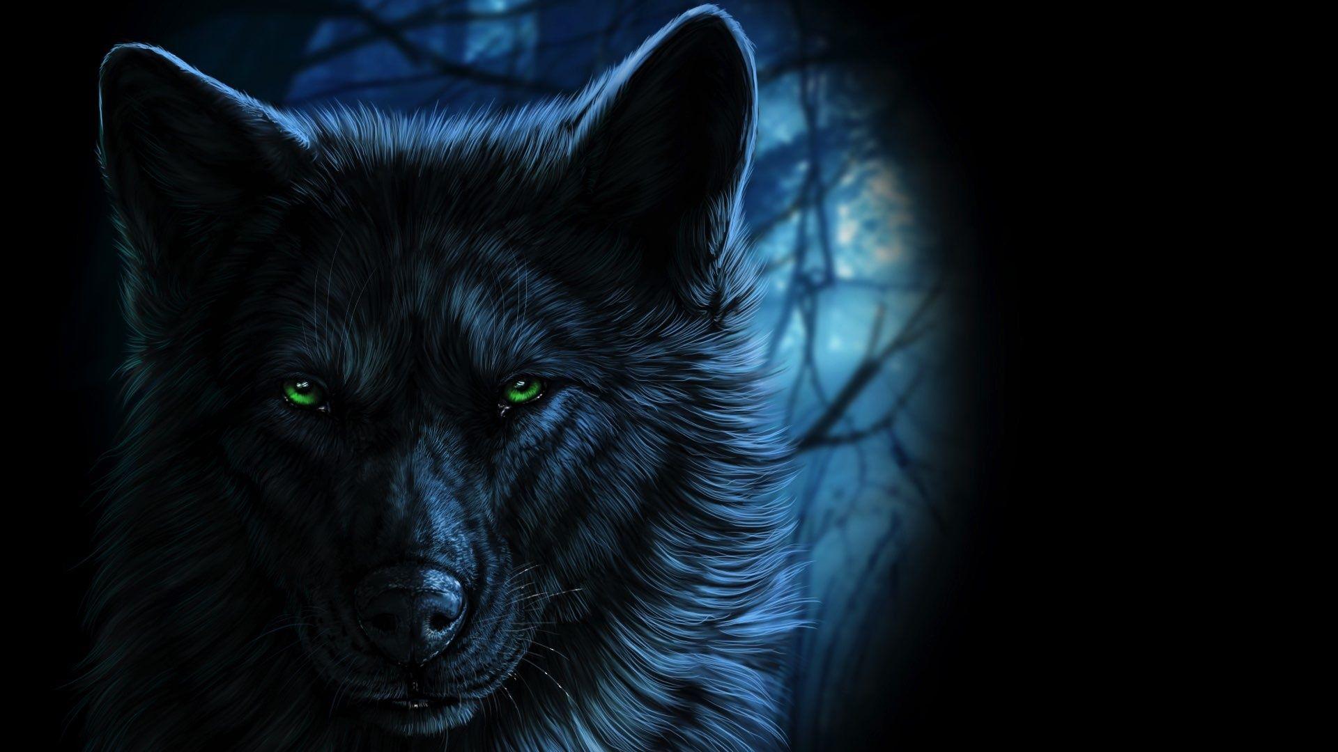 1920x1080 Black Wolf HD Wallpaper