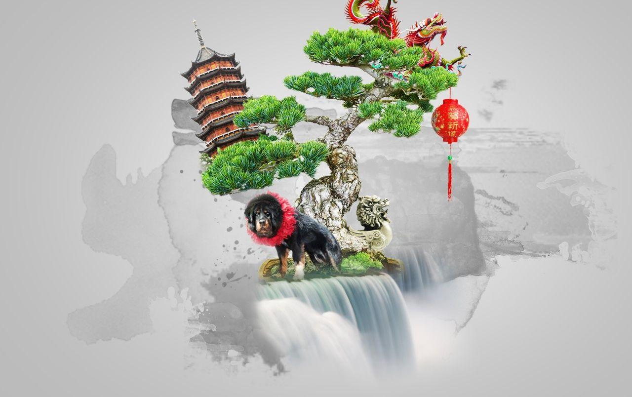 1280x804 Bonsai wallpaper. Bonsai