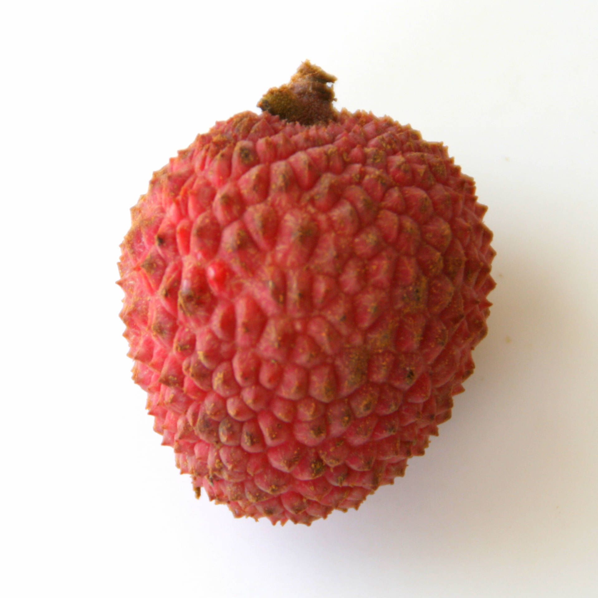 1919x1920 Download Single Litchi Fruit Wallpaper