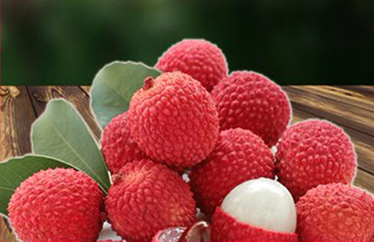 1200x779 disadvantages of eating “litchi