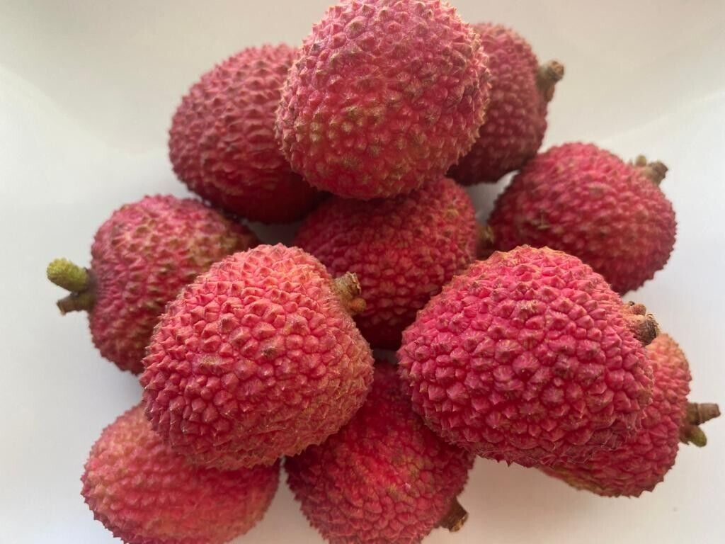 1024x768 Lychee fruit, sweet Litchi Chinensis