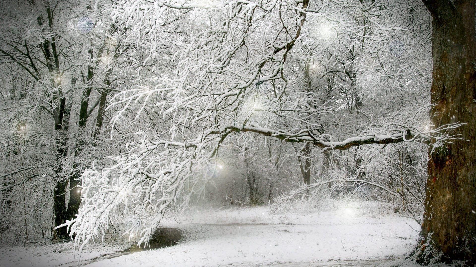 1920x1080 Desktop Wallpaper Winter Scenes