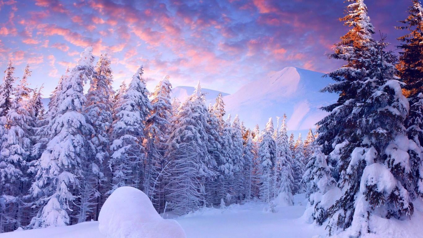 42 Beautiful Winter Wonderland Wallpaper