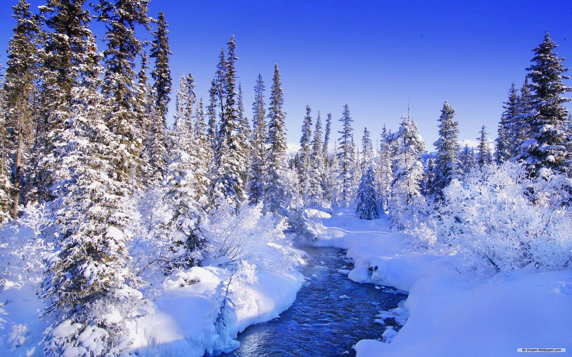 1920x1200 Free Wallpaper Nature wallpaper Wonderland