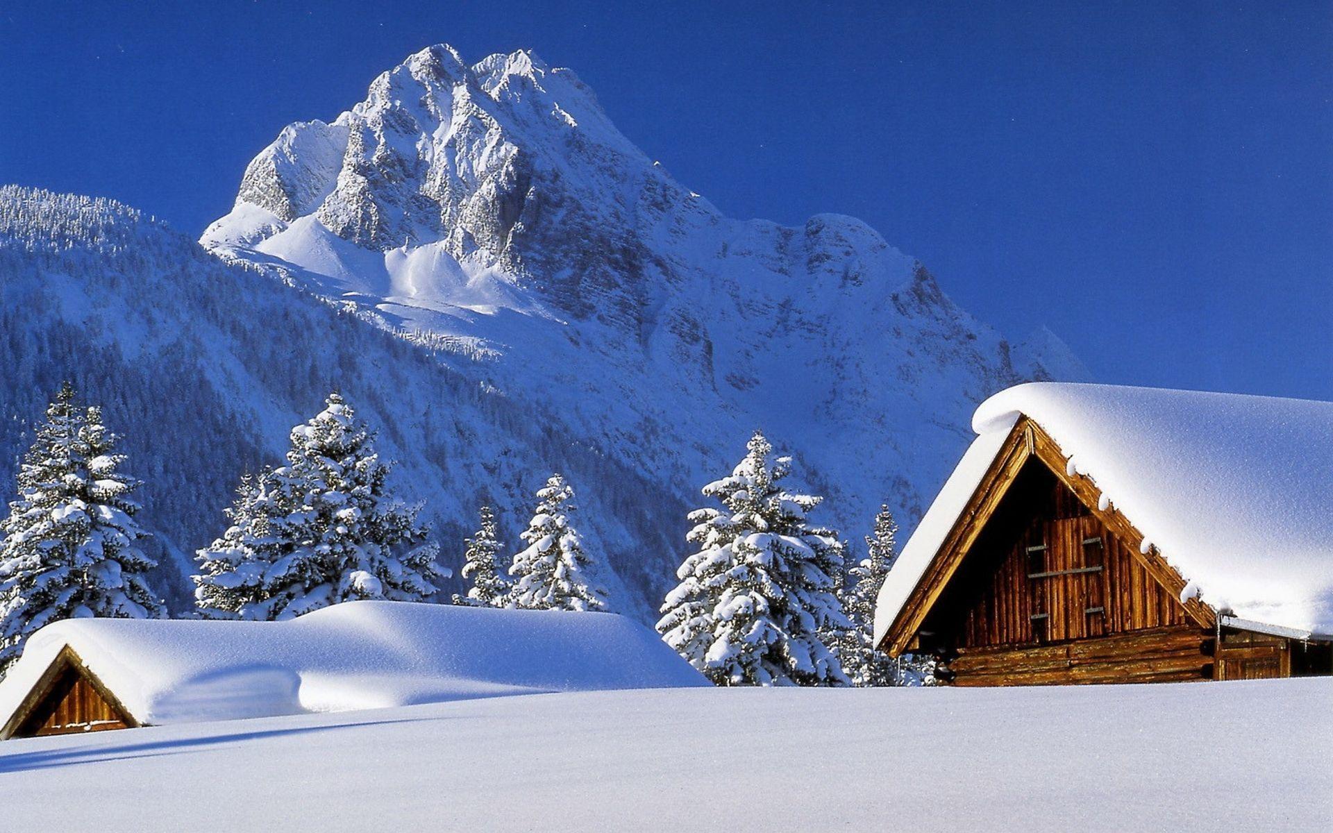 1920x1200 Winter Wonderland Background