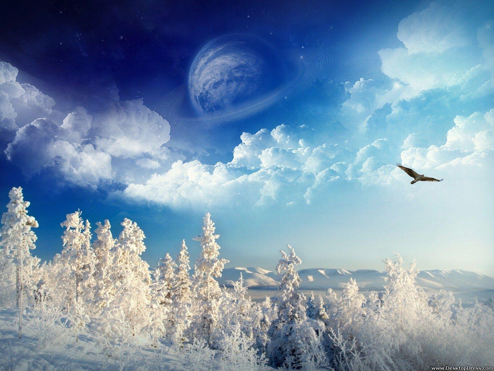 1600x1200 Desktop Wallpaper Natural Background Winter Wonderland