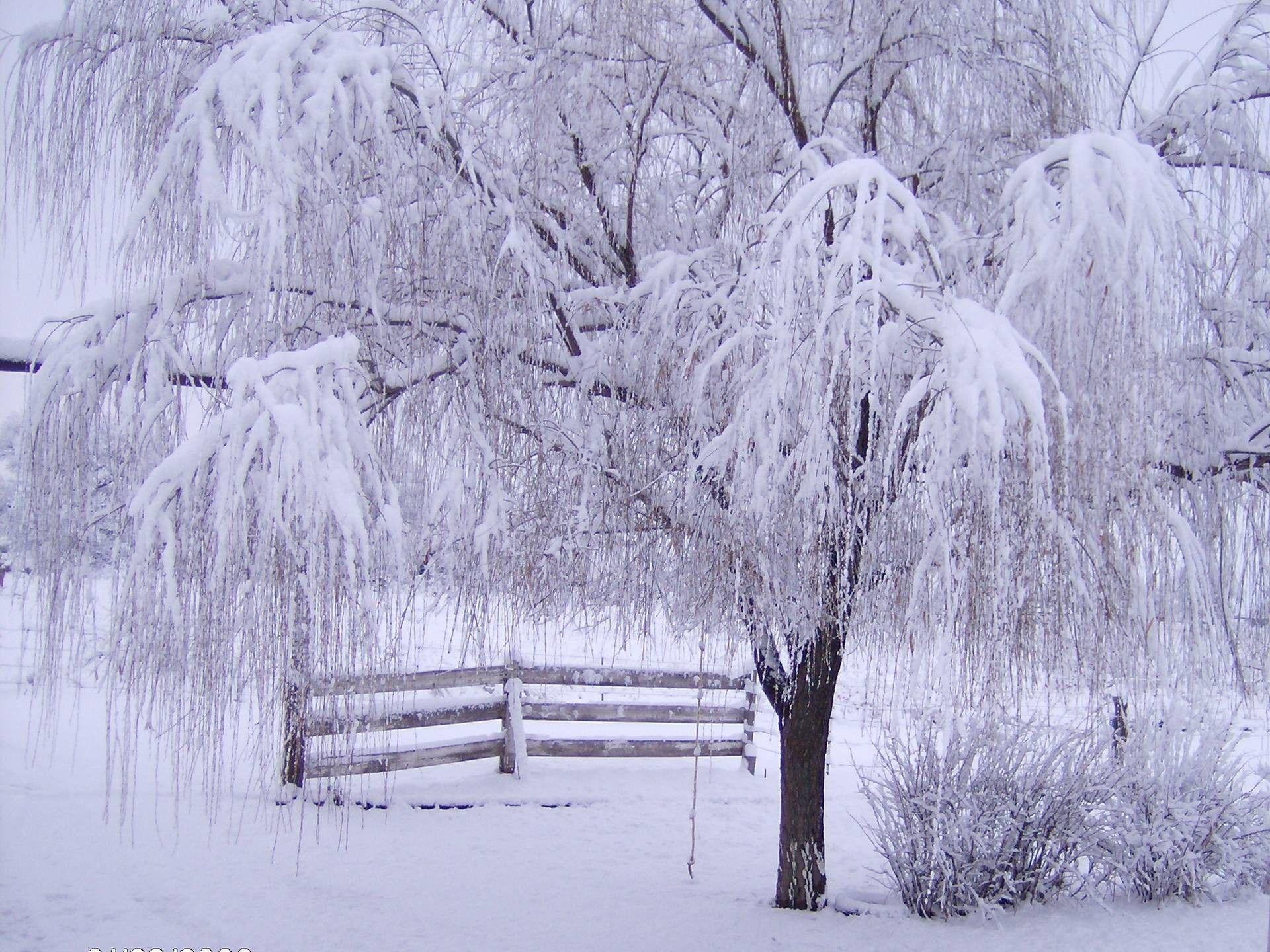 1920x1440 Winter Wallpaper