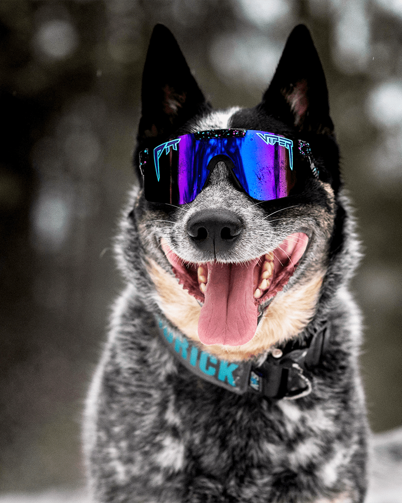 819x1024 Pit Viper Sunglasses Wallpaper