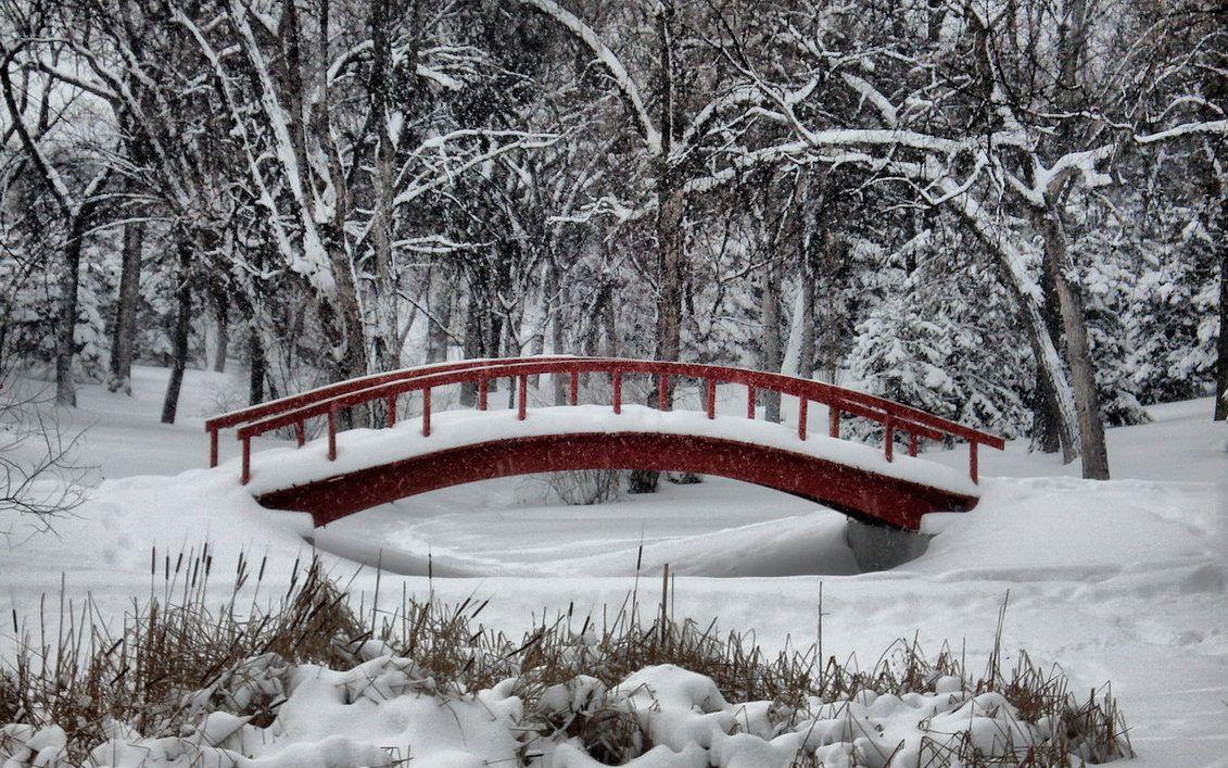 1131x707 Hình ảnh Winter Wonderland, Hình nền Hình ảnh Hàng đầu
