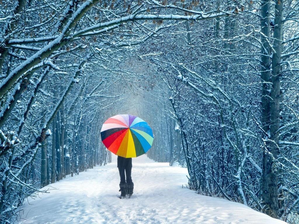 Snow Umbrella Wallpapers Top Free Snow Umbrella Backgrounds