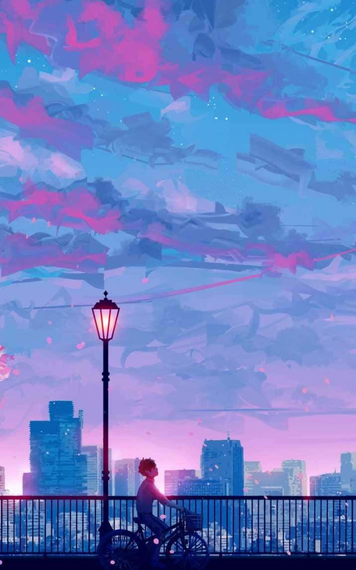 715x1144 Bicycle And A Skyline Wallpaper