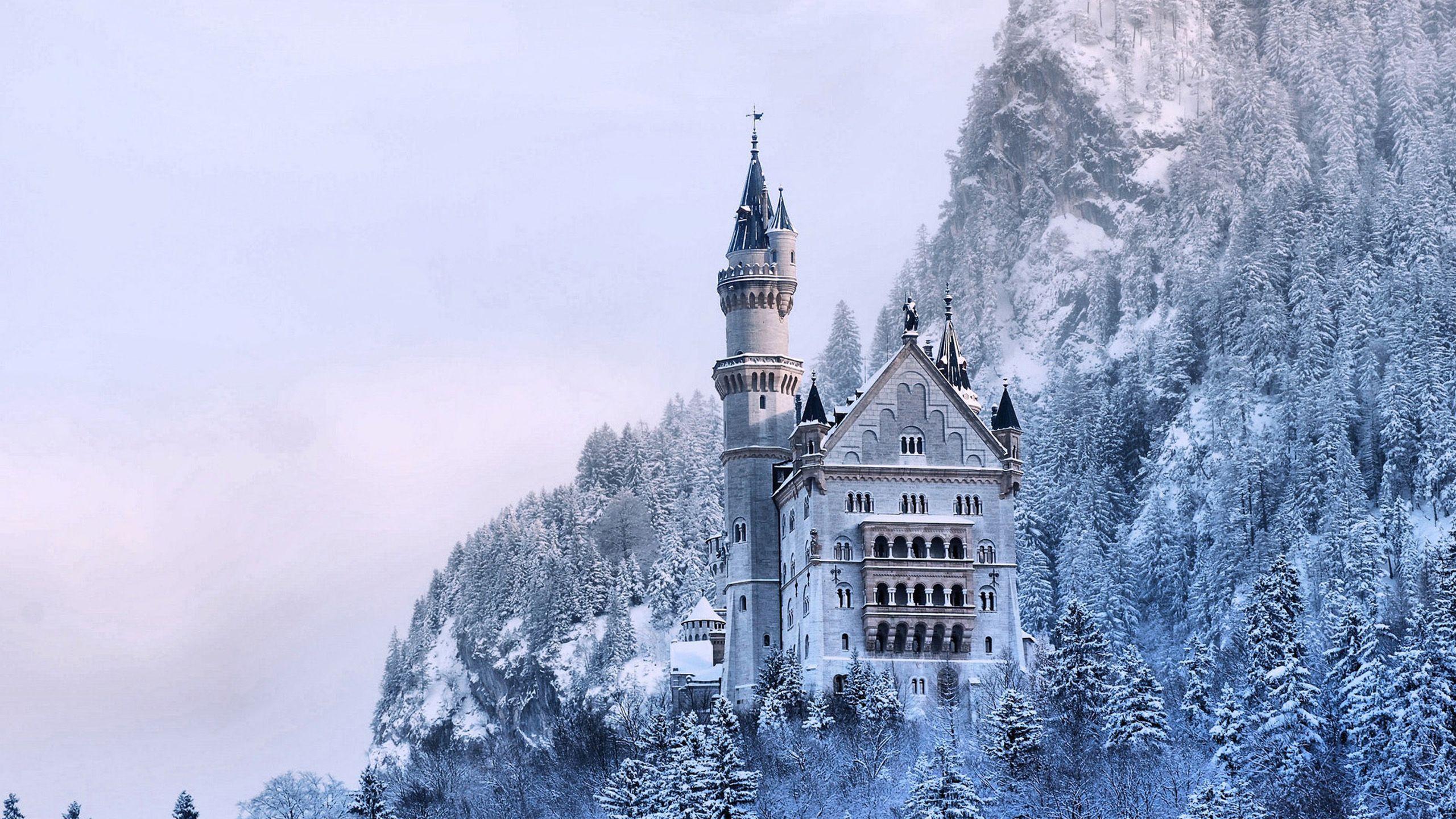 2560x1440 Frozen Background Free Download