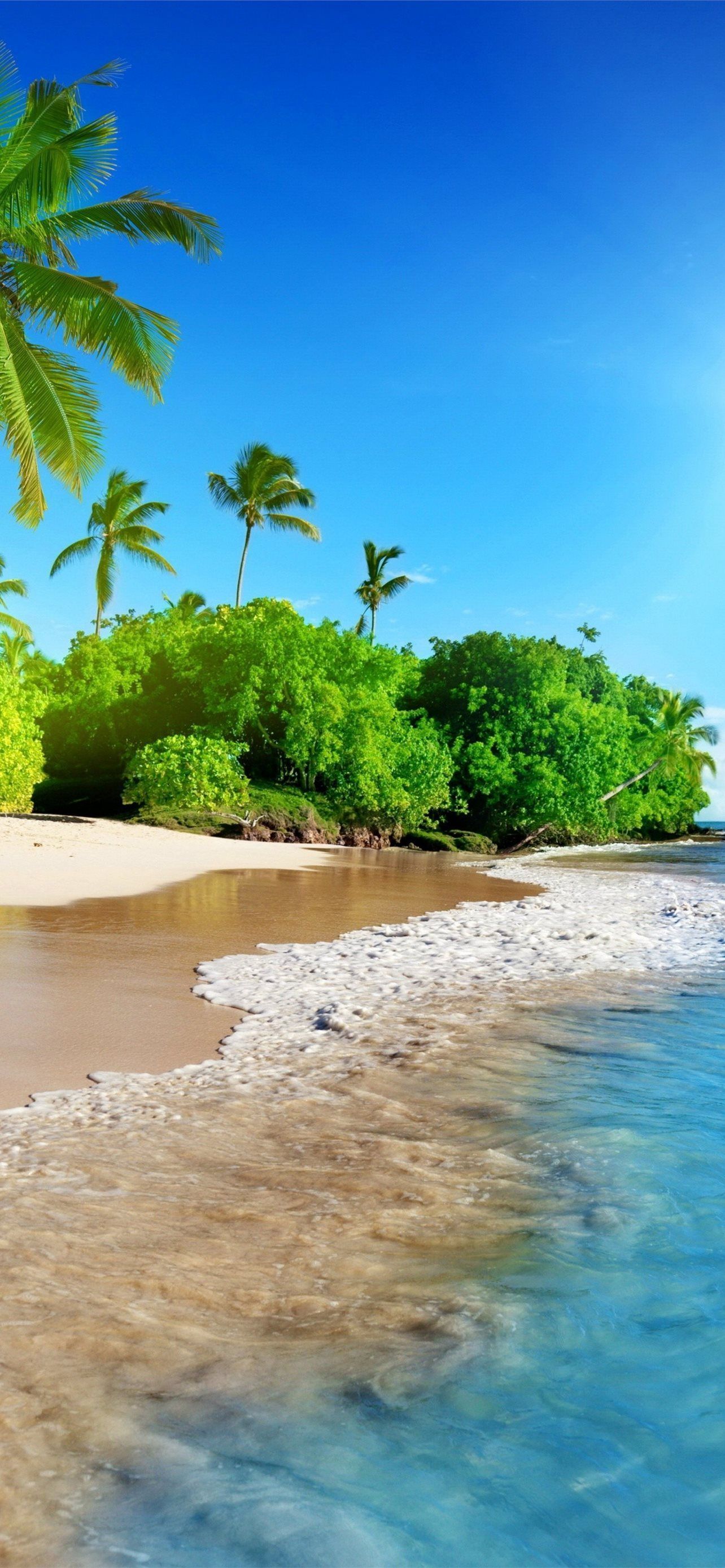1284x2778 Best Sunshine coast iPhone HD