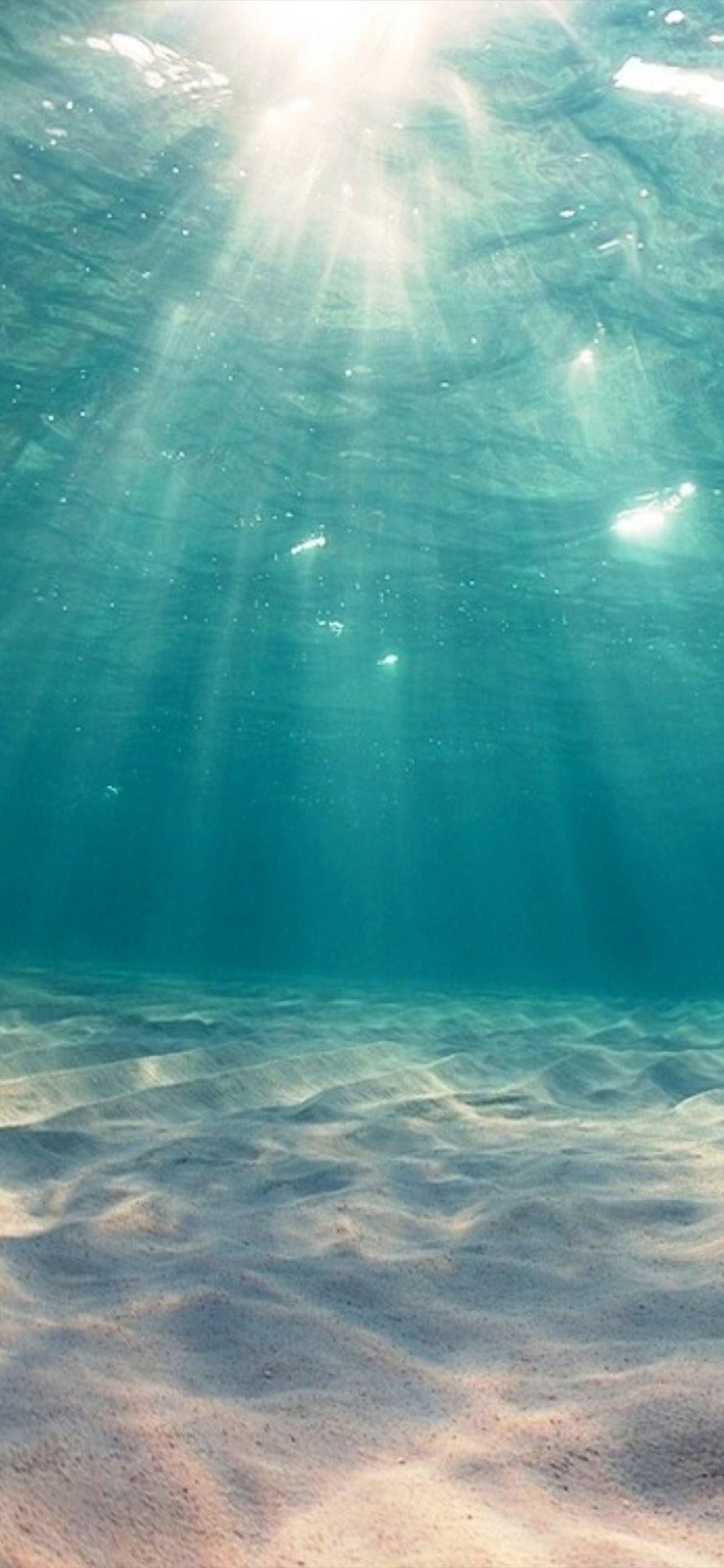 1284x2778 Best Sunshine coast iPhone HD