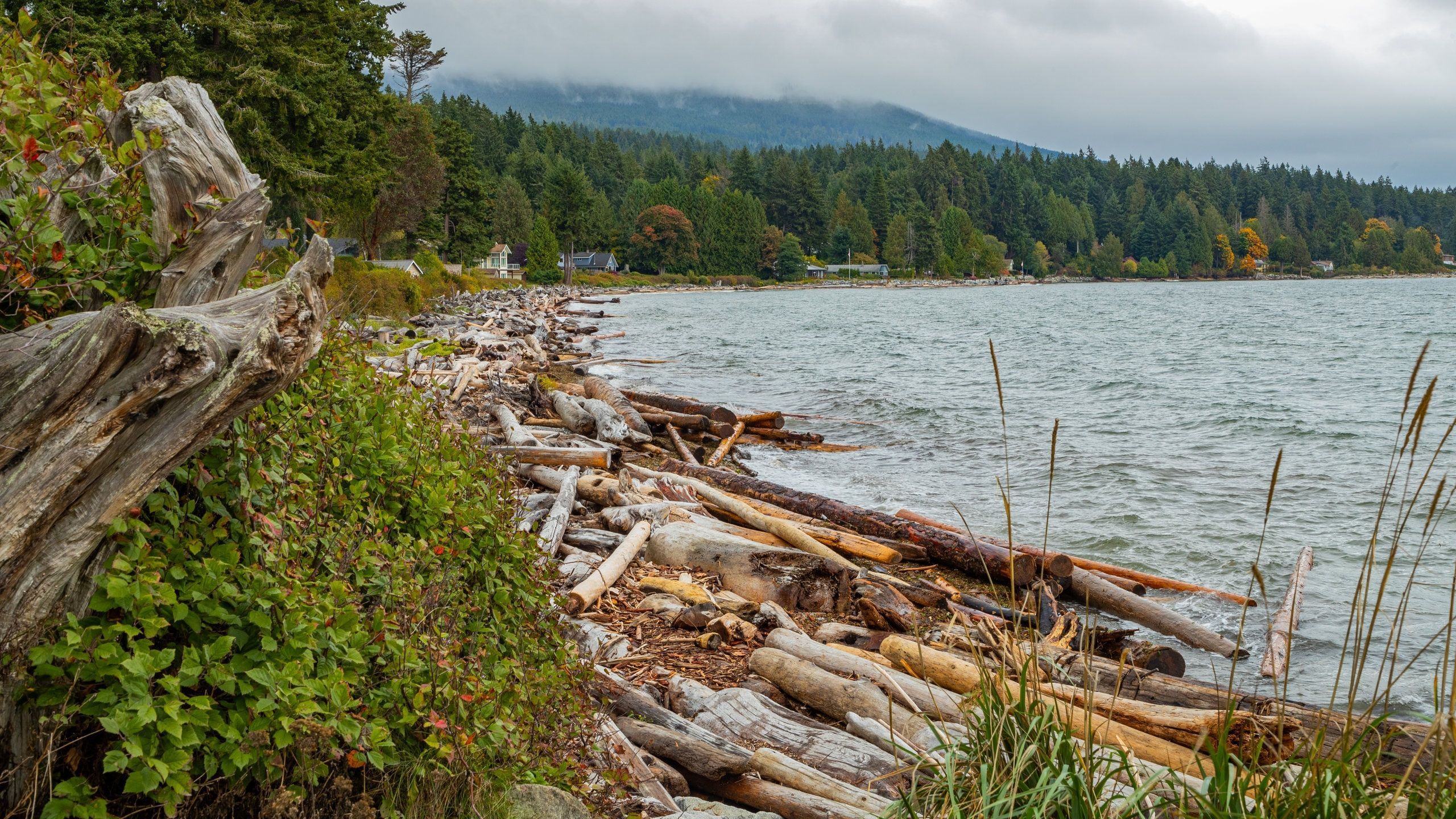 2560x1440 Visit Sunshine Coast Regional District
