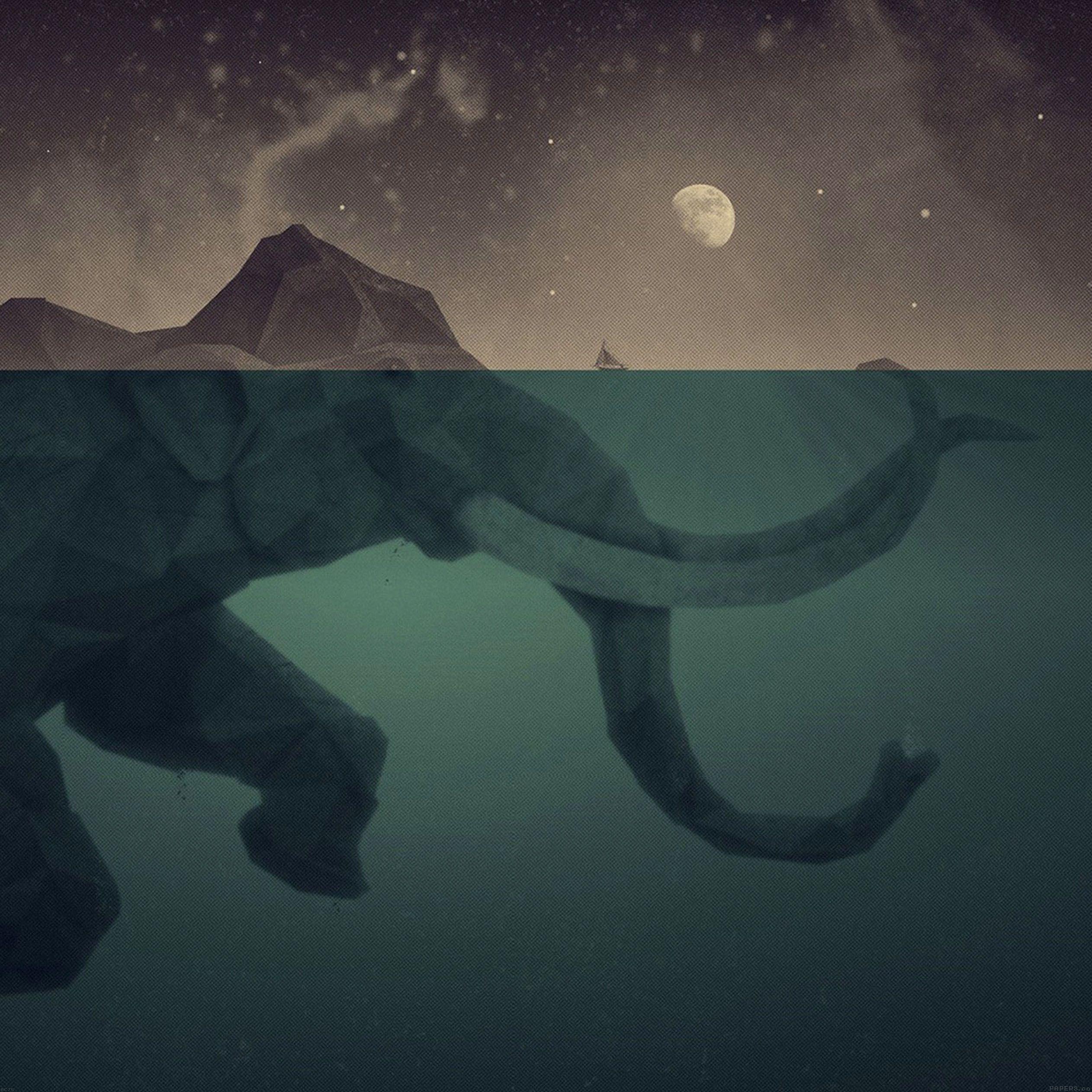 2524x2524 Elephant Wallpaper For IPhone