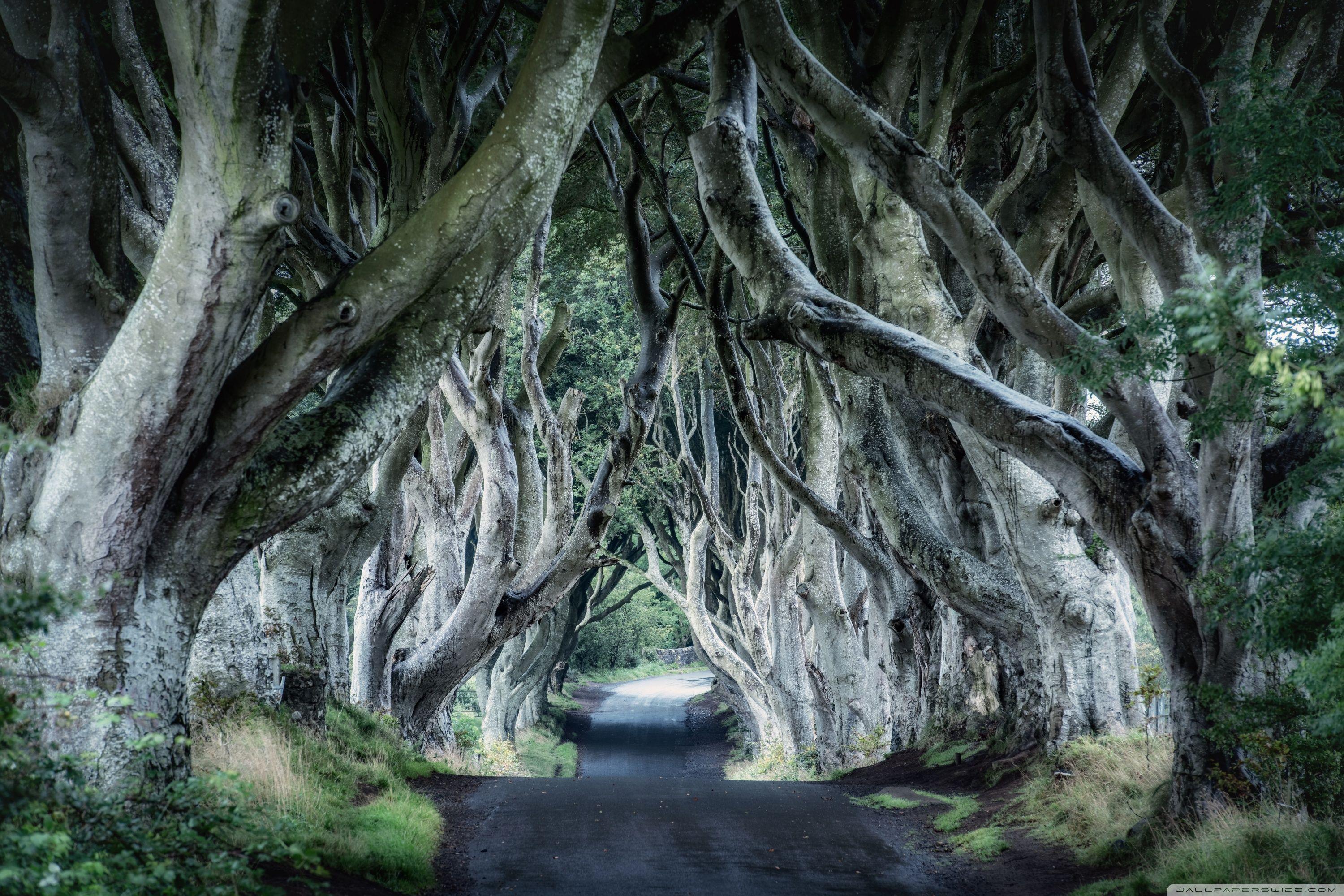 ireland-winter-wallpapers-top-free-ireland-winter-backgrounds