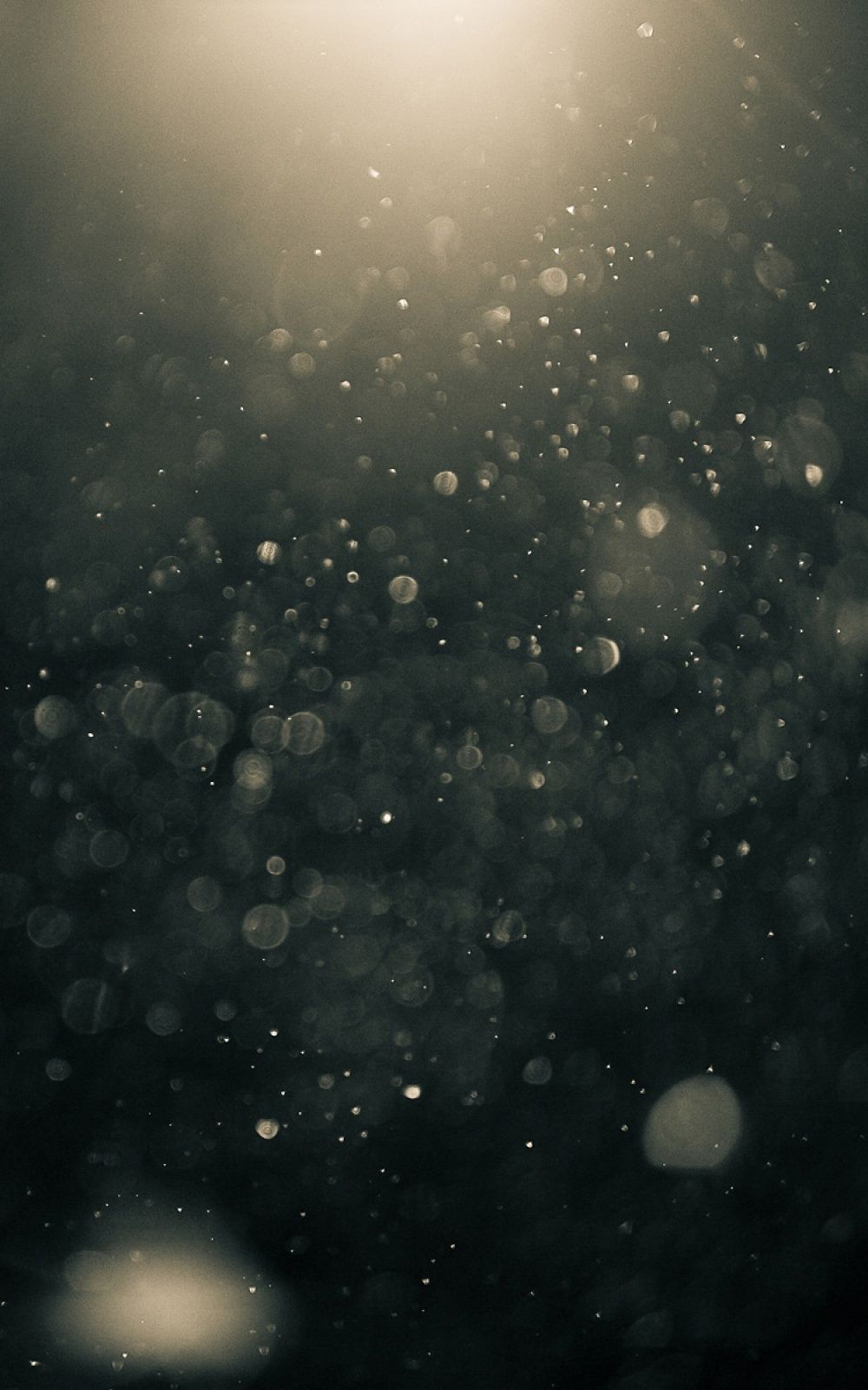 1000x1600 Dust Particles Wallpaper