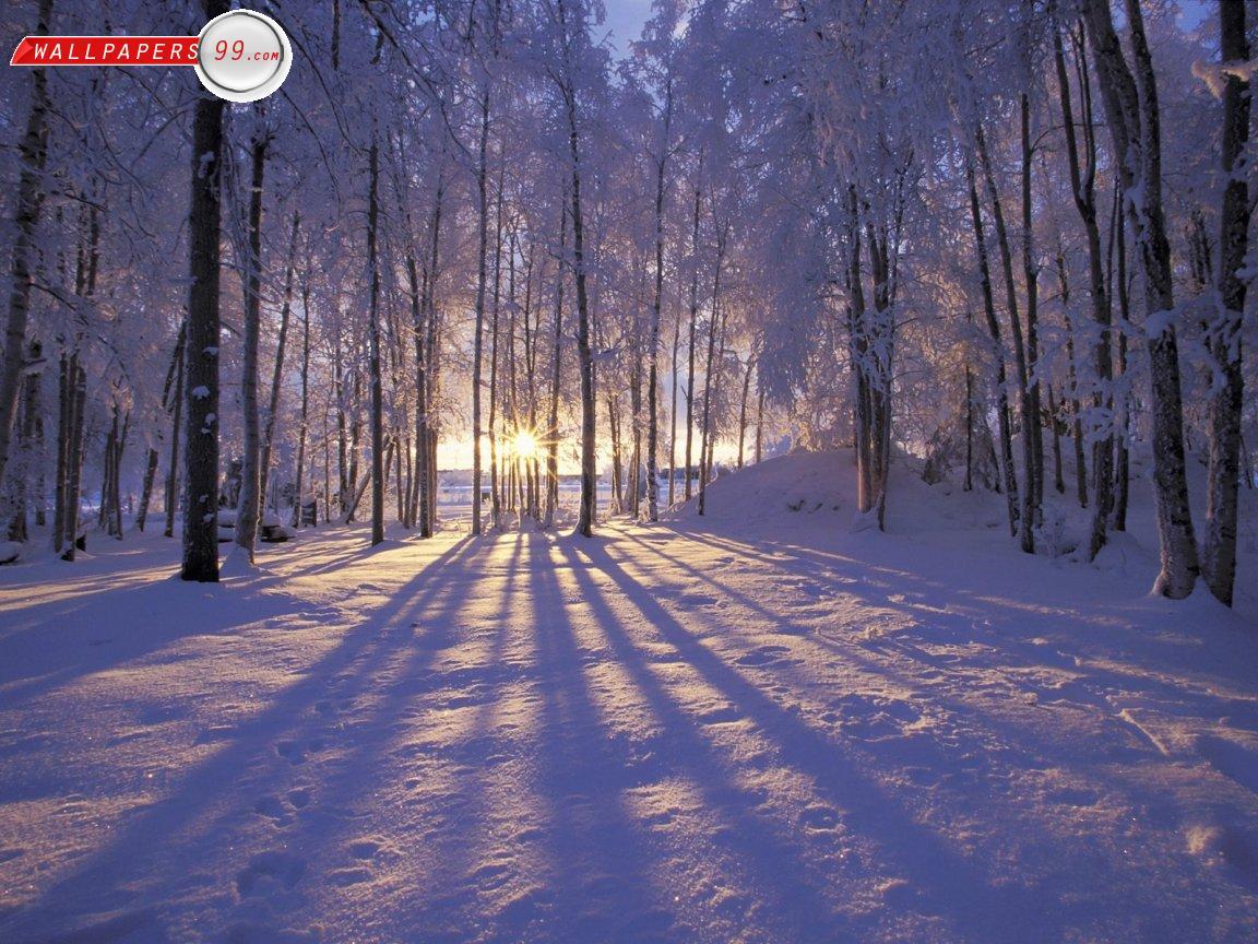 Michigan Winter Wallpapers - Top Free Michigan Winter Backgrounds ...