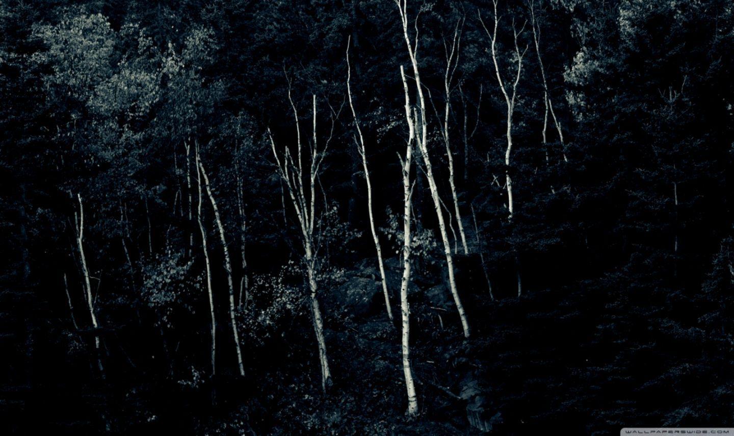 1440x855 Forest Night Wallpaper High Resolution. My Sims 3 Downloads
