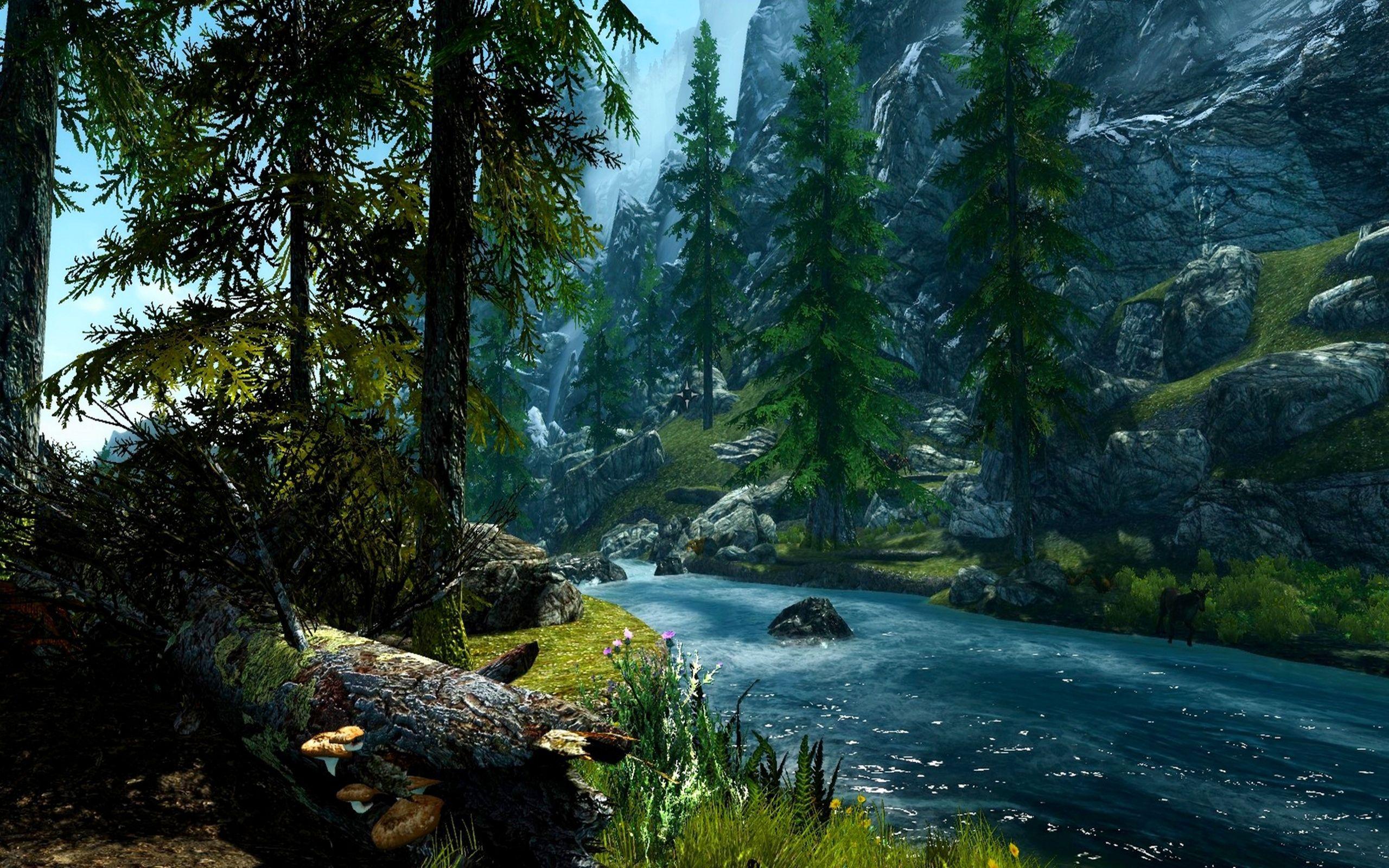 Forest River Wallpapers - Top Free Forest River Backgrounds