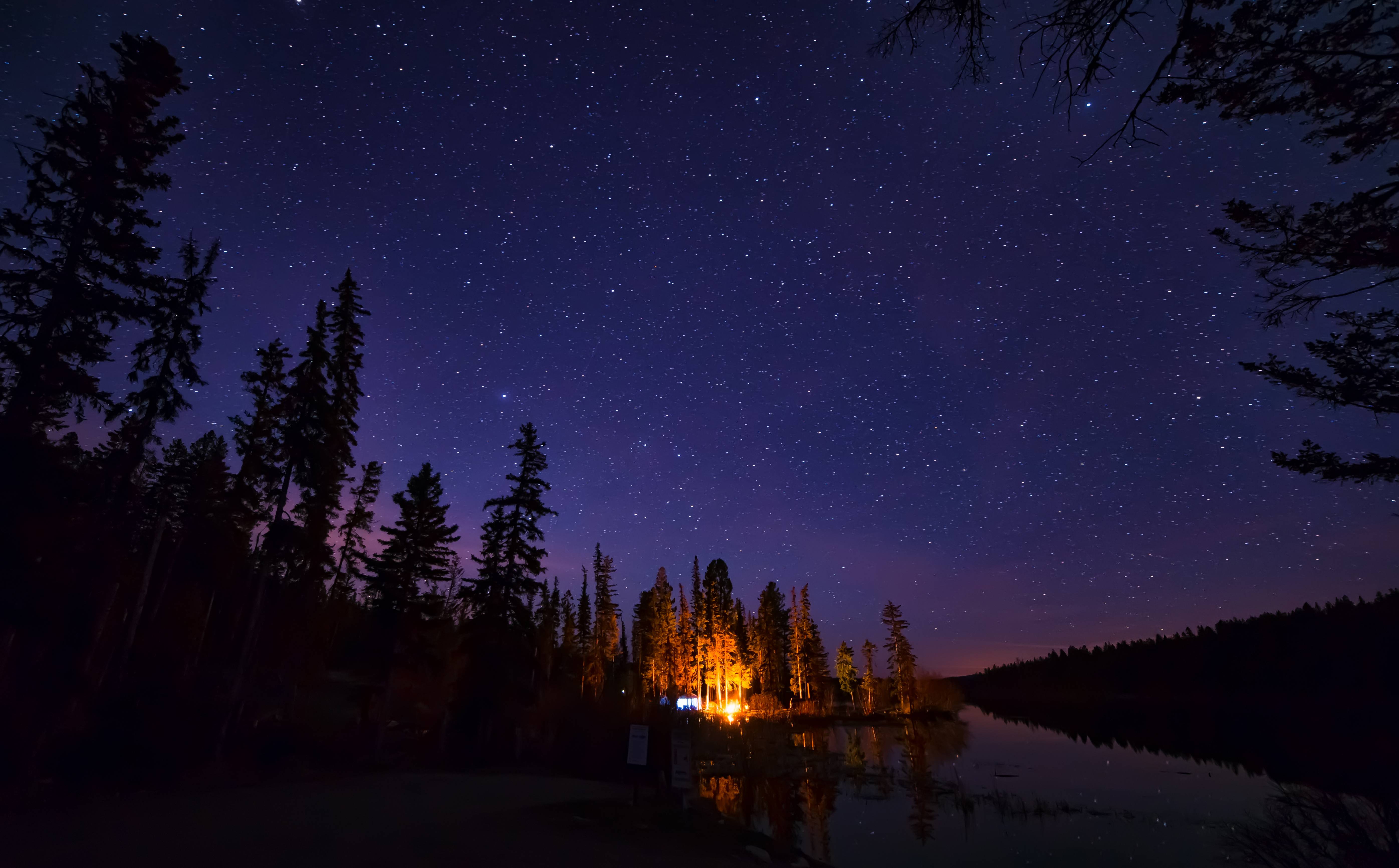 Звездное небо домой. Природа ночью. «Ночь в лесу». Ночное небо. Ночной лес.