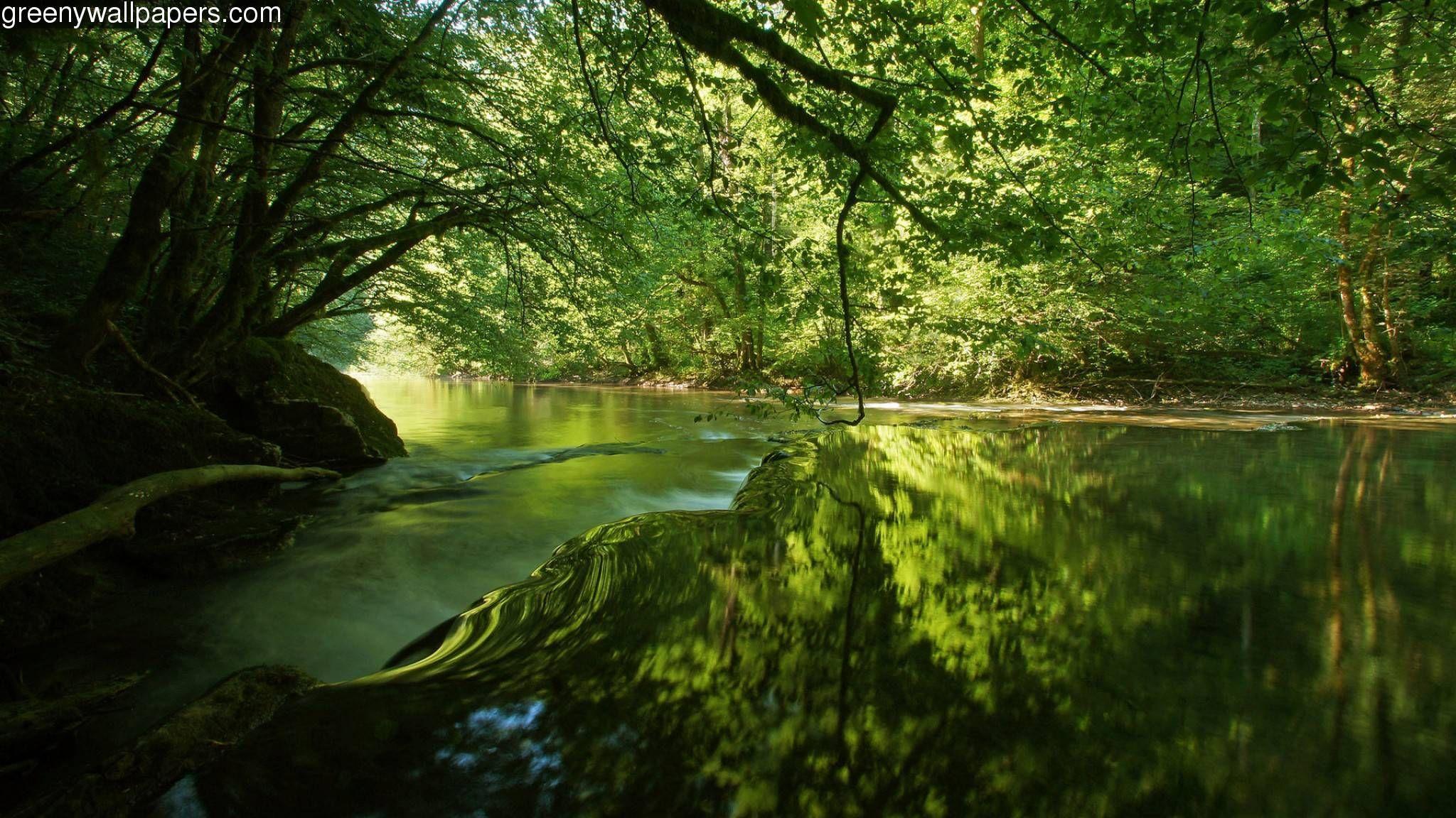 Forest River Wallpapers - Top Free Forest River Backgrounds ...