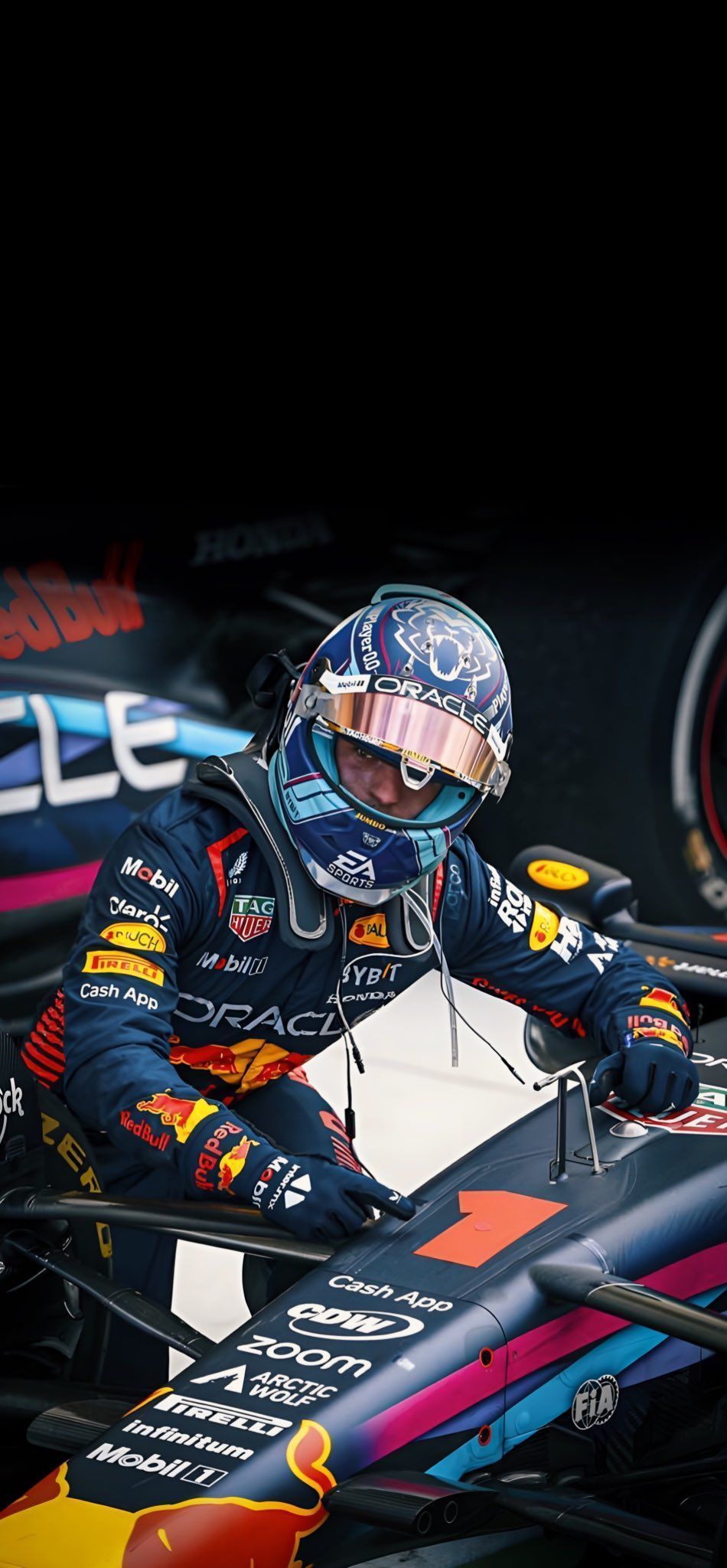 950x2048 Max Wallpaper