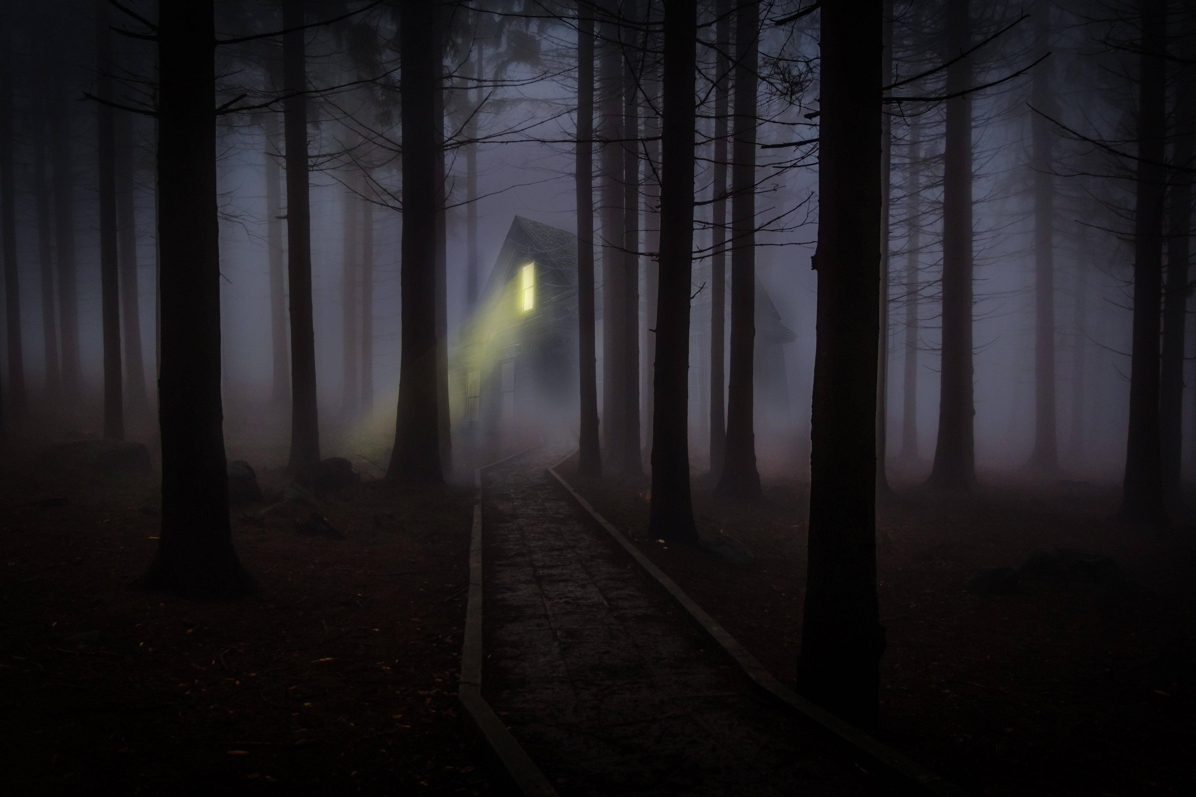 5834x3889 Night Forest Wallpaper HD Download Free
