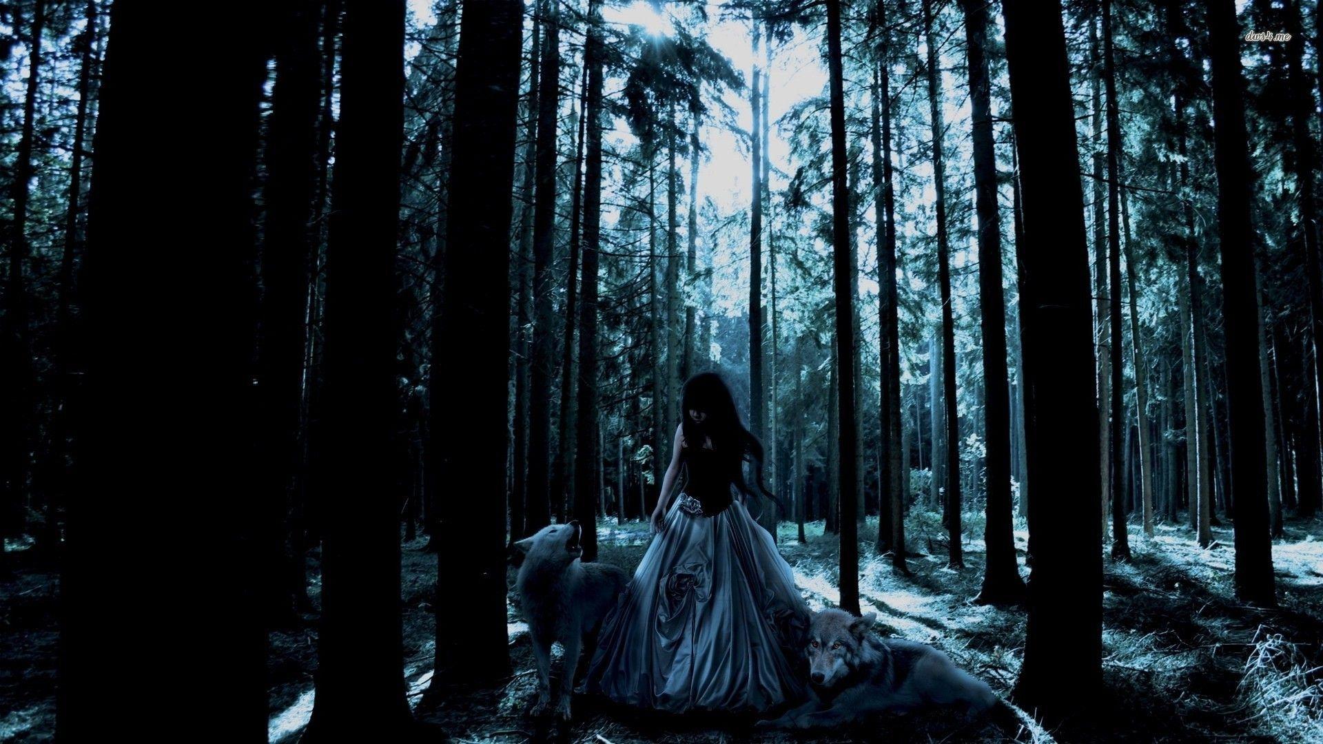 1920x1080 Forest girl with her wolfes wallpaper Art