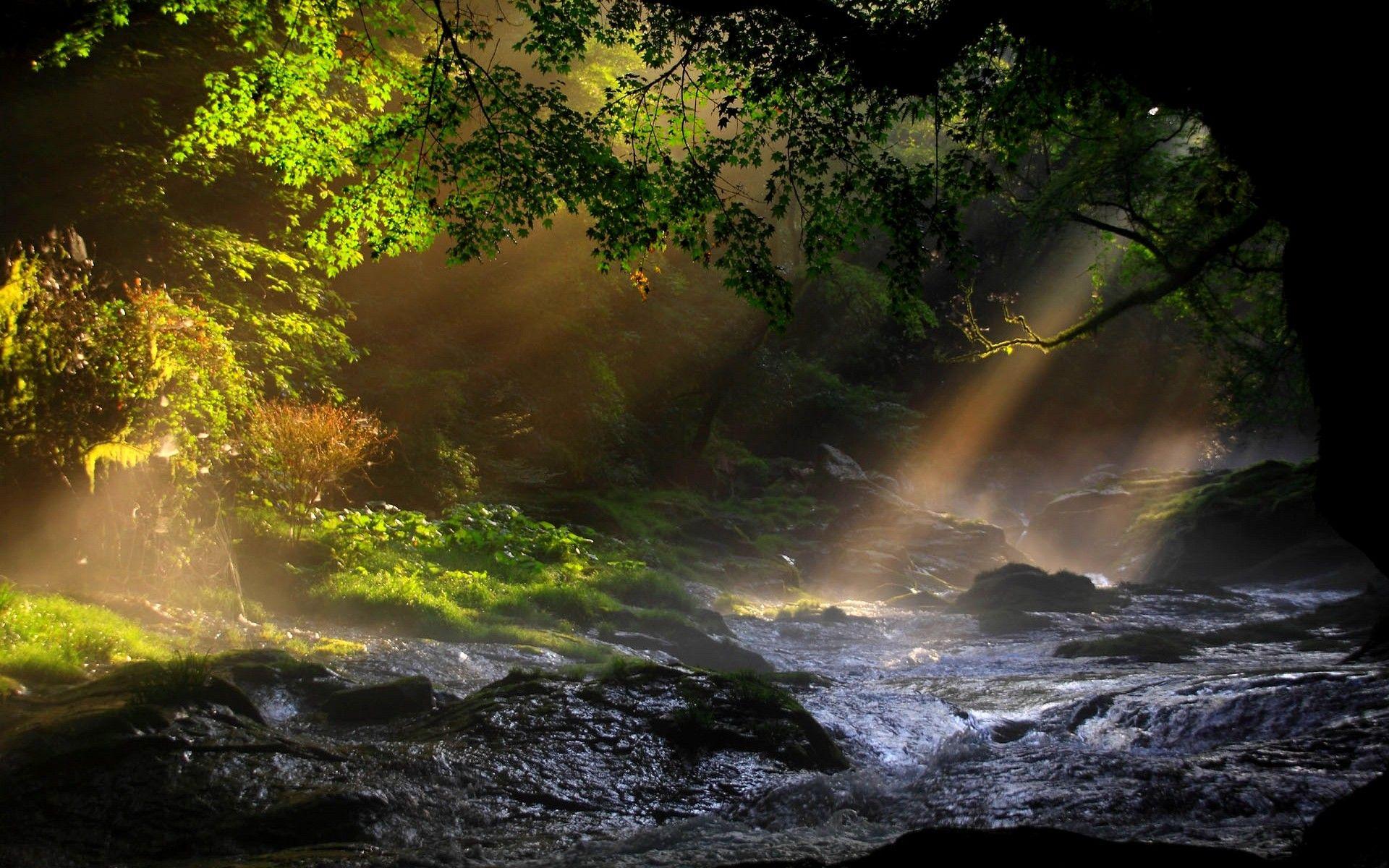 1920x1200 Forest River