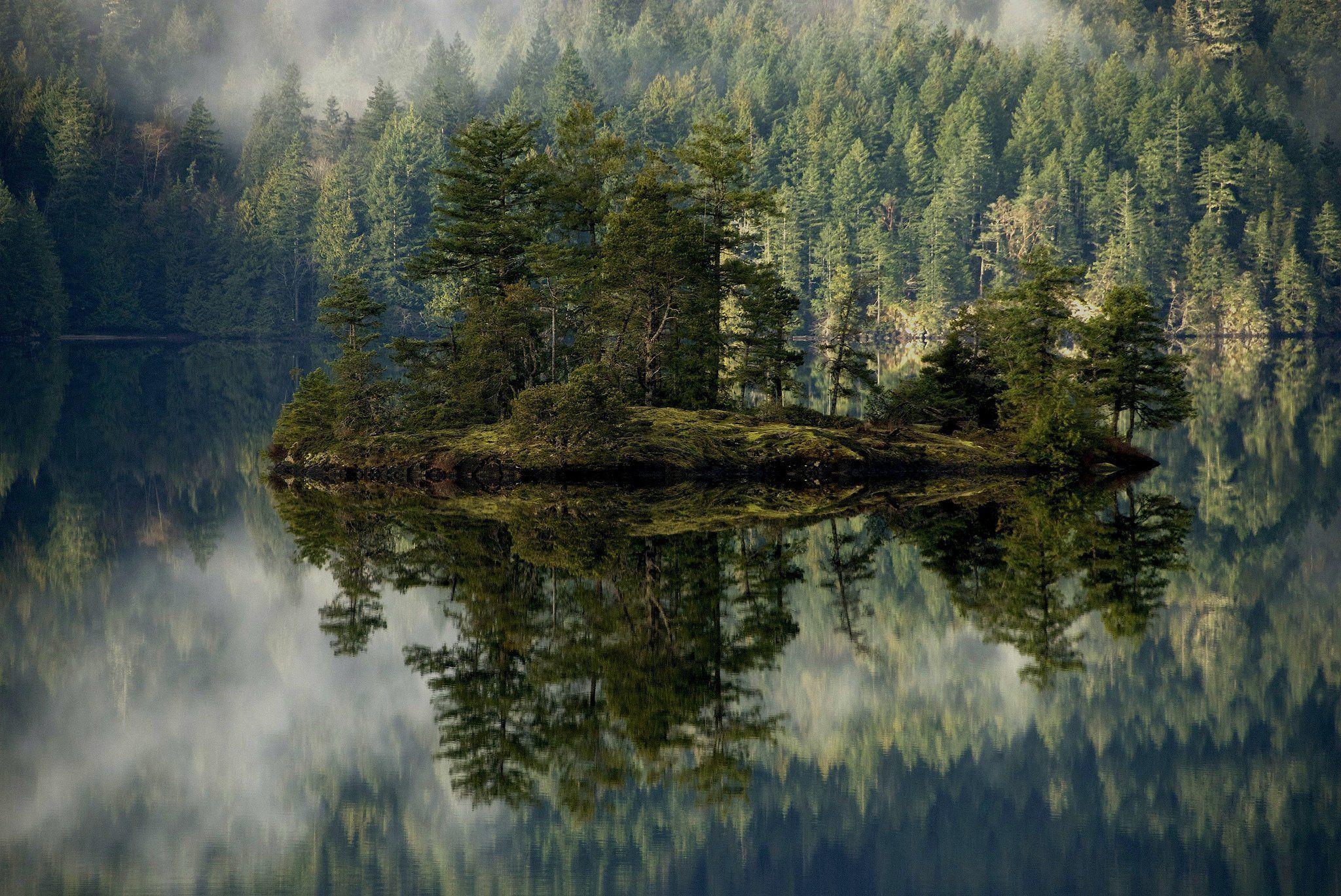 Oregon Forest Wallpapers - Top Free Oregon Forest Backgrounds -  WallpaperAccess