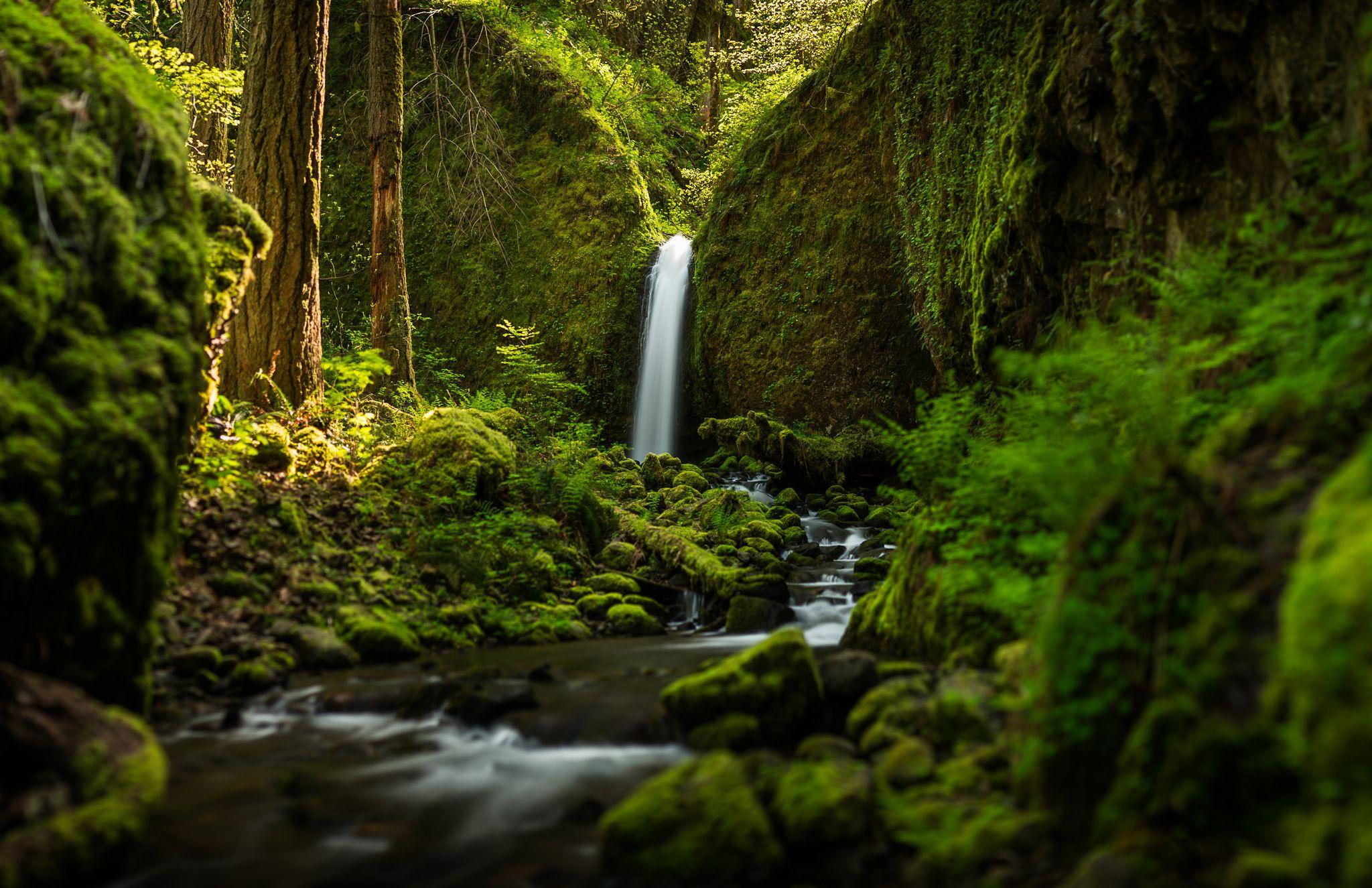 2048x1325 Oregon Waterfall Forest River Mood Wallpaper