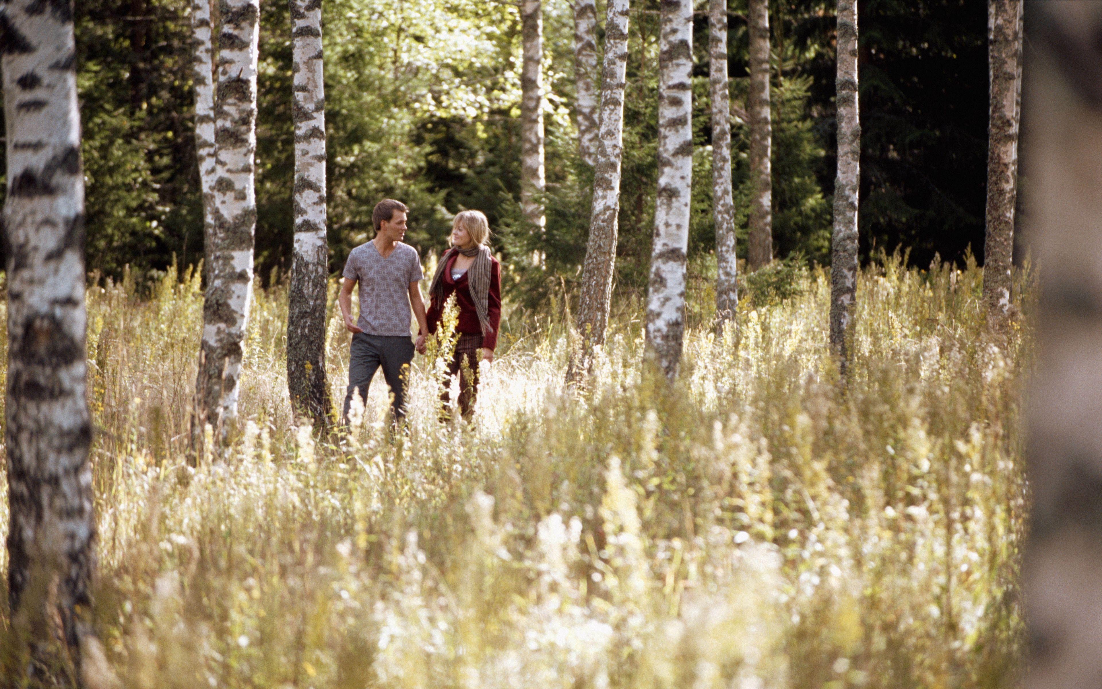 3840x2400 Download wallpaper 3840x2400 love, boy, girl, forest, birch