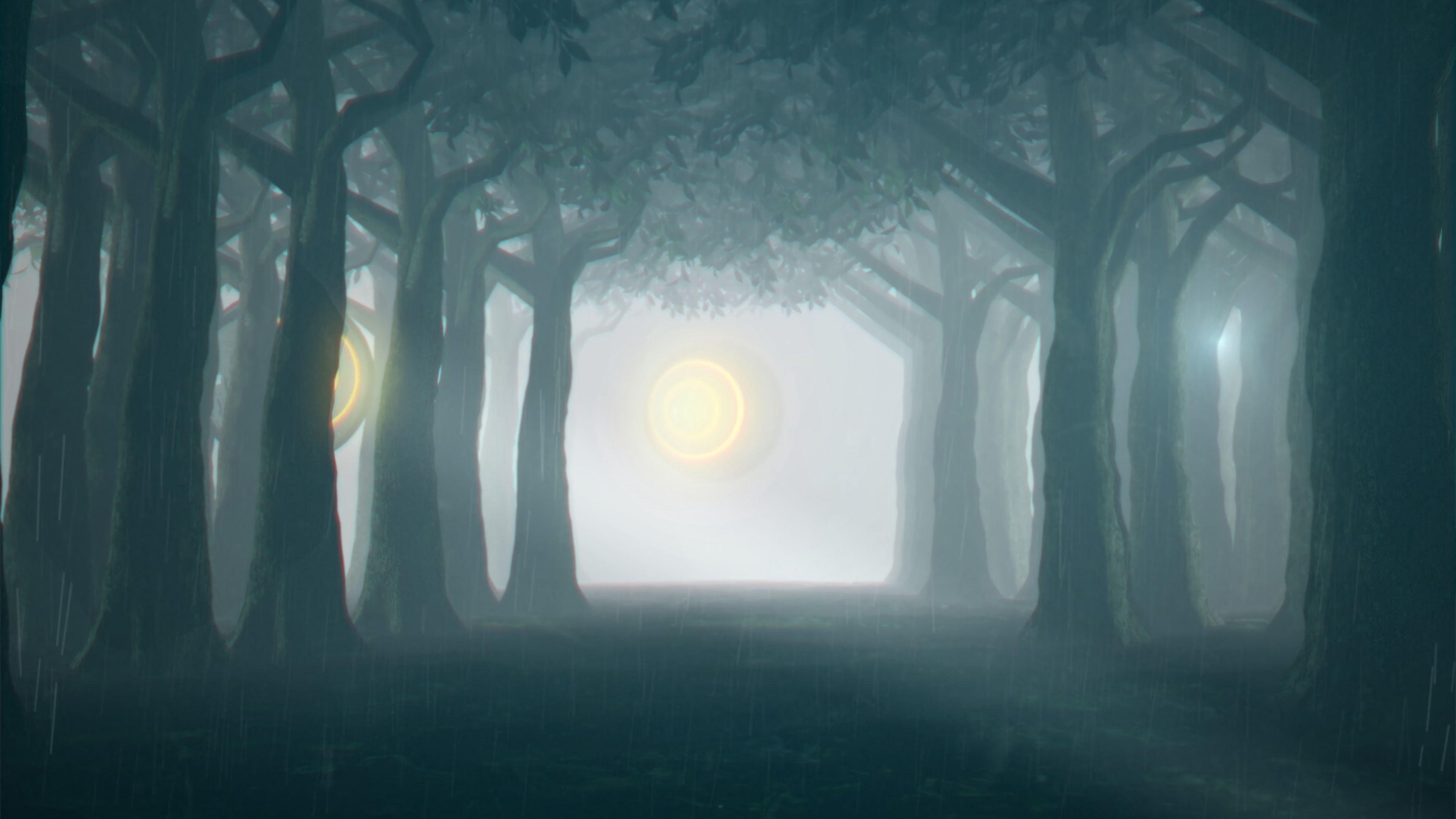 3840x2160 Download wallpaper 3840x2160 forest, trees, light