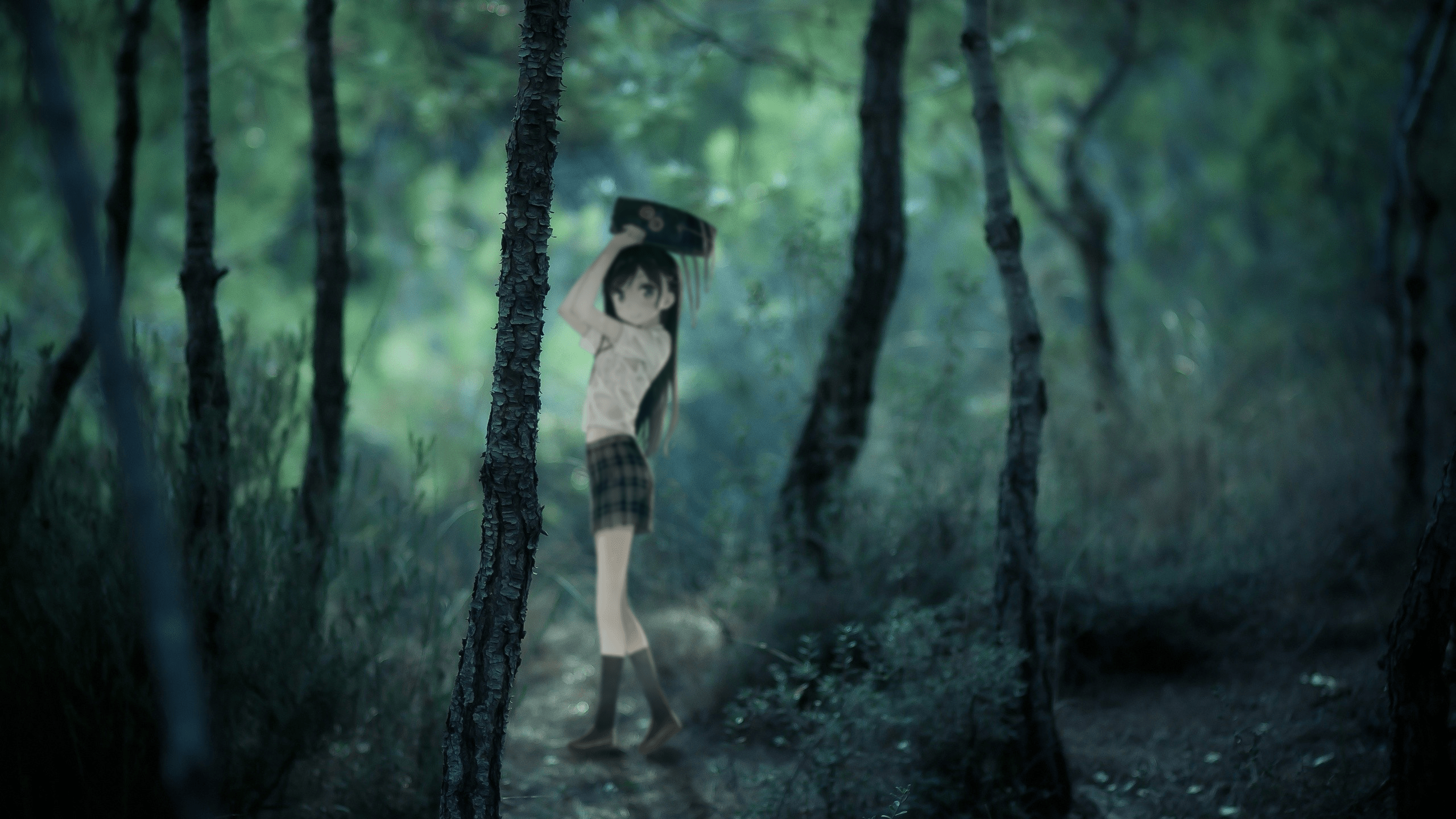 2560x1440 Download 2560x1440 Anime Girl, Raining, Forest, School