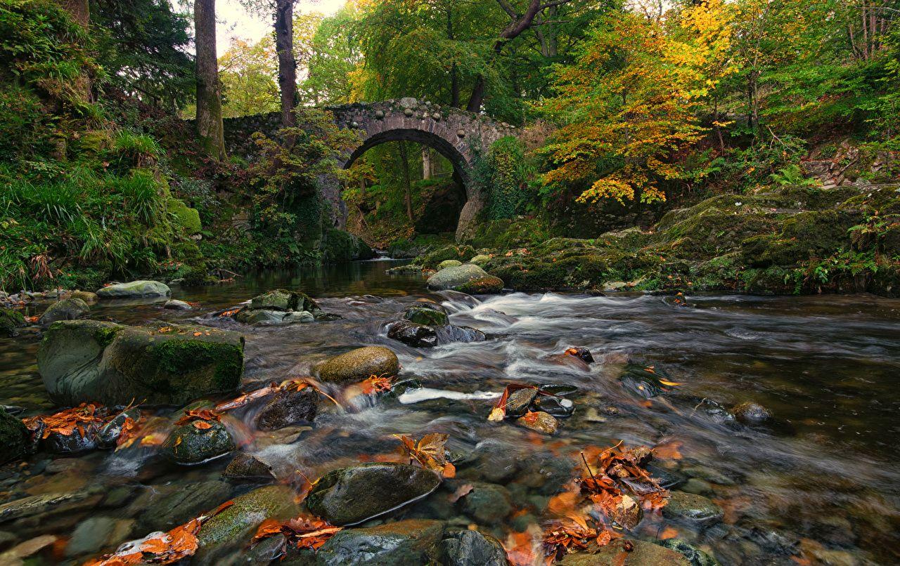1280x806 Desktop Wallpaper Ireland Nature Autumn Bridges forest Moss