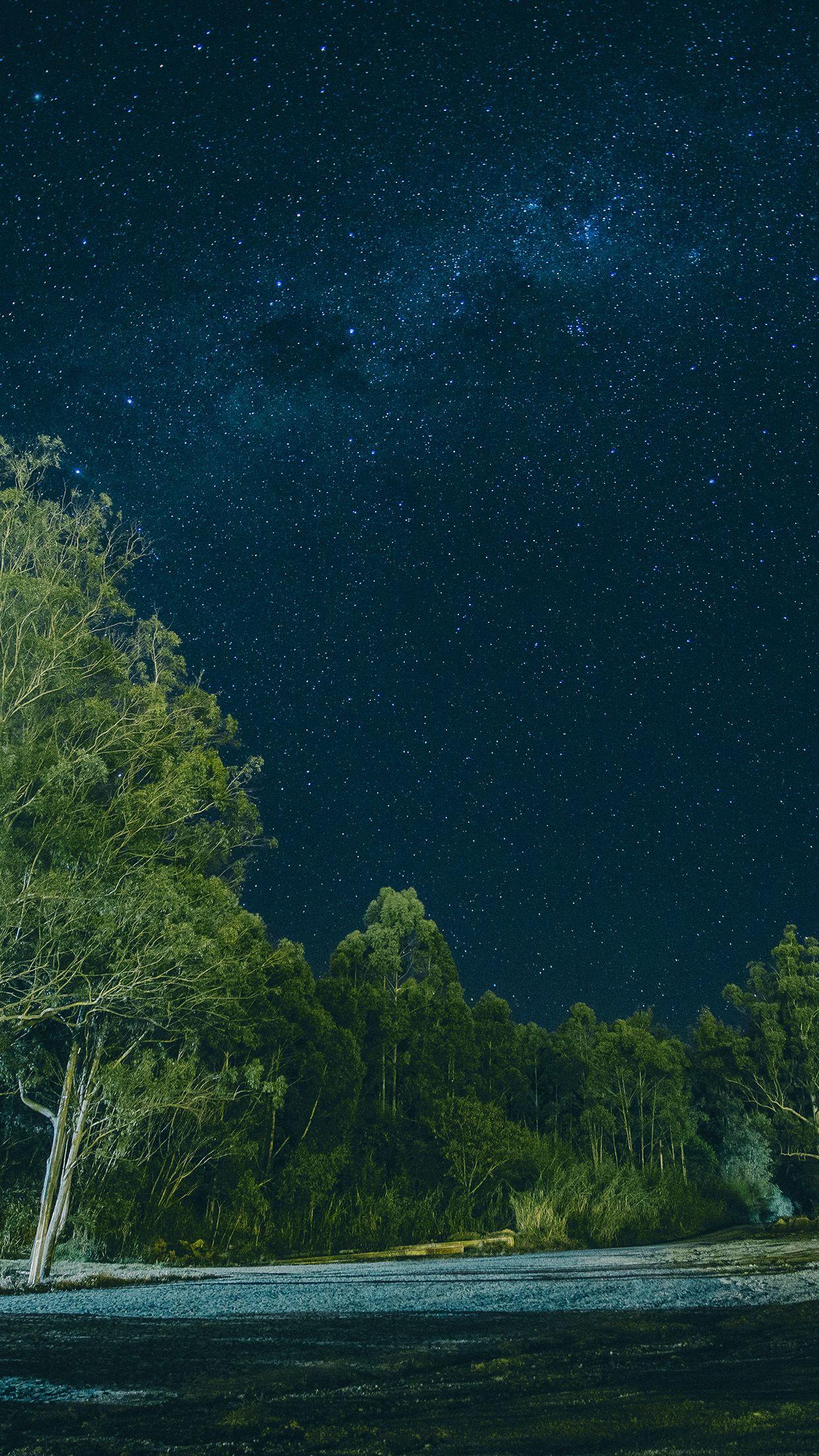 Iphone 6 Wallpaper exact res Forest Night Minimal by NoahSilliman