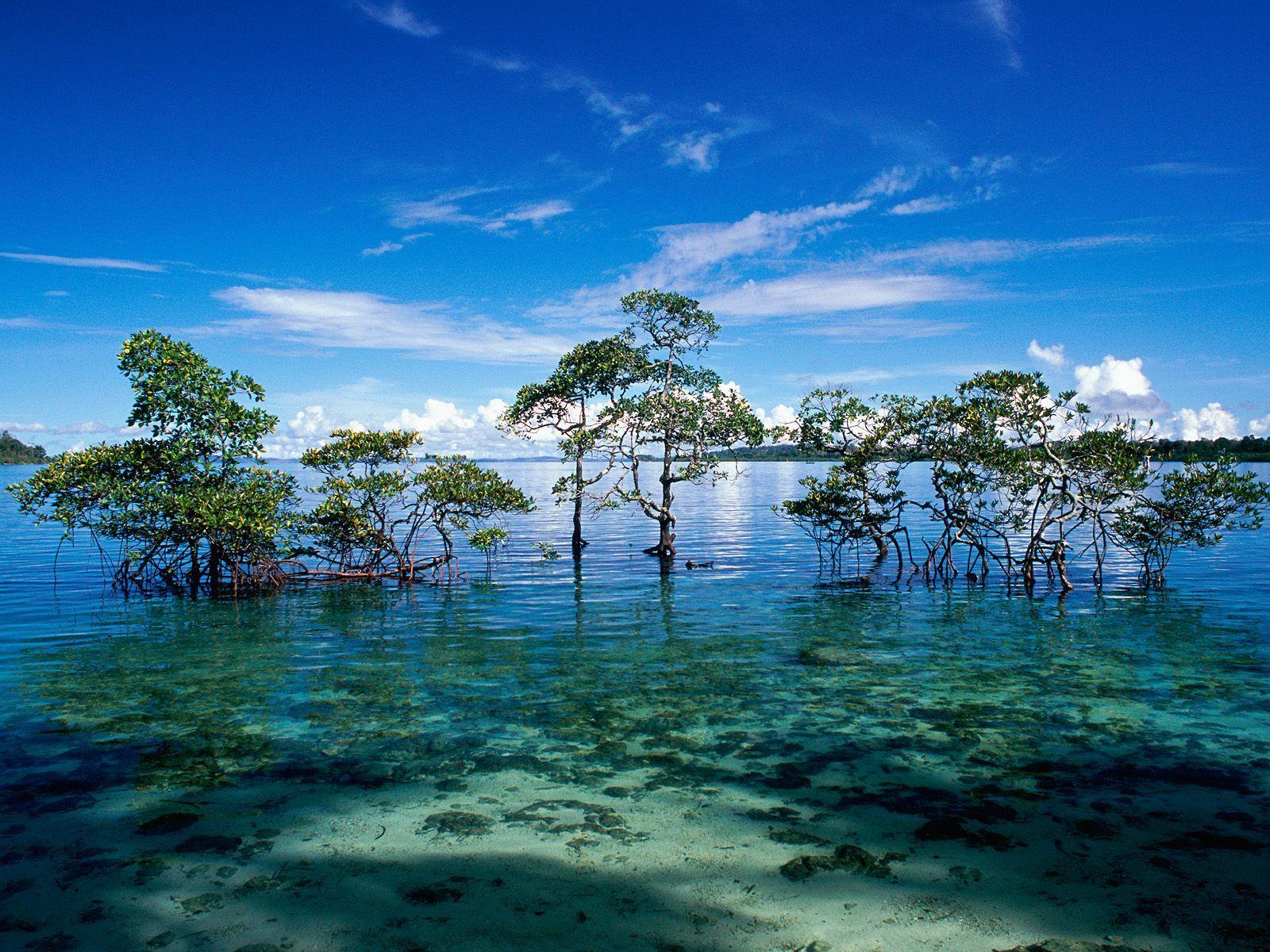 1600x1200 Funny Picture Gallery: Islands wallpaper, island wallpaper