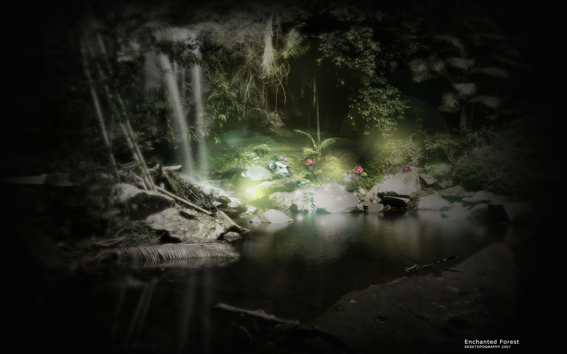 1920x1200 Enchanted Forest Background
