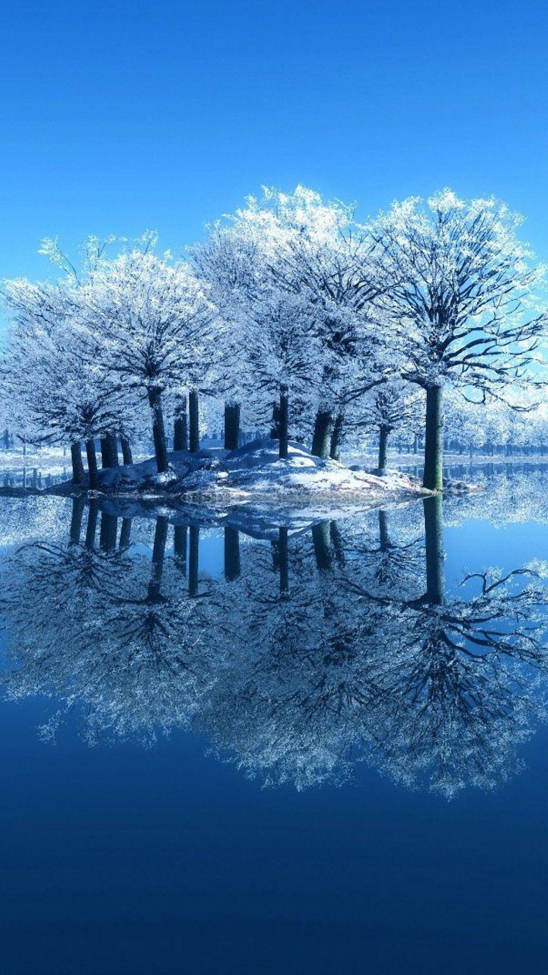 1080x1920 Sự phản chiếu tuyệt vời của cây tuyết Hình nền iPhone 6s HD